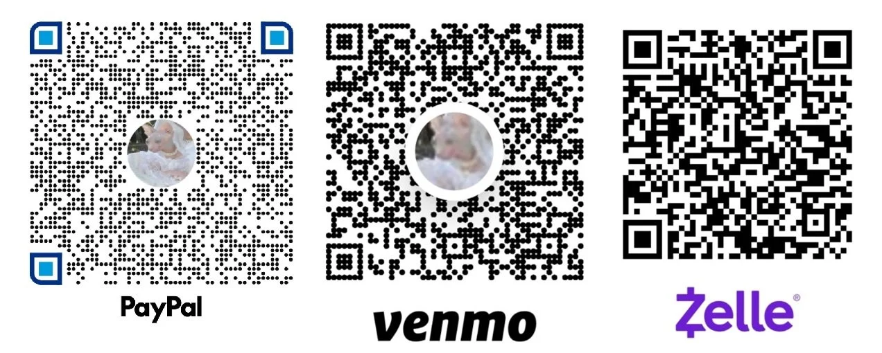 QR codes for various payment options, PayPal, Venmo and Zelle