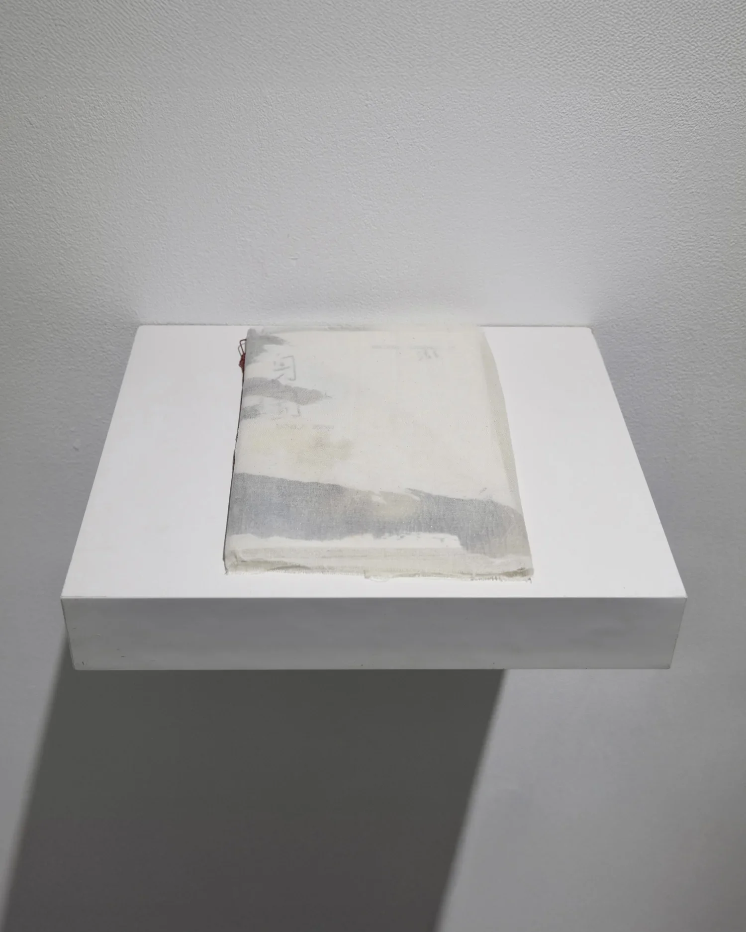 Body Map: The Manual 身圖：手冊 - Melody Qingmei Li 李清美