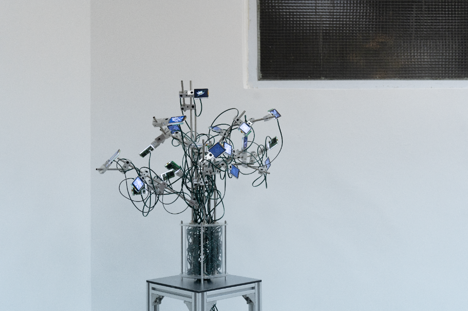 Tsen Chun Sing_2.png