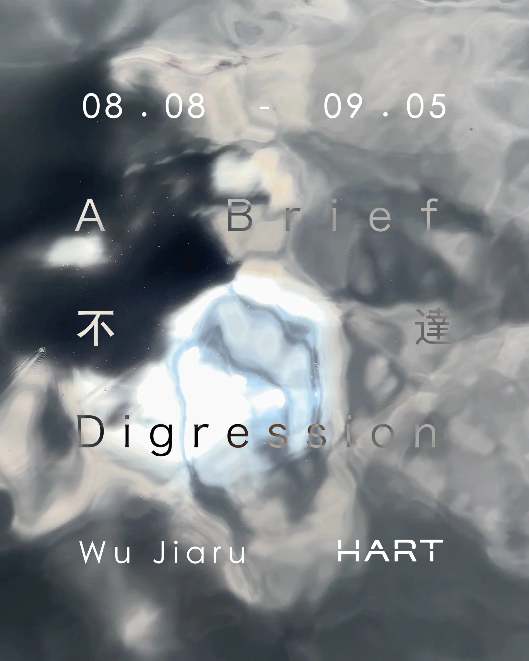 Wu Jiaru: A Brief Digression 吳佳儒：不達