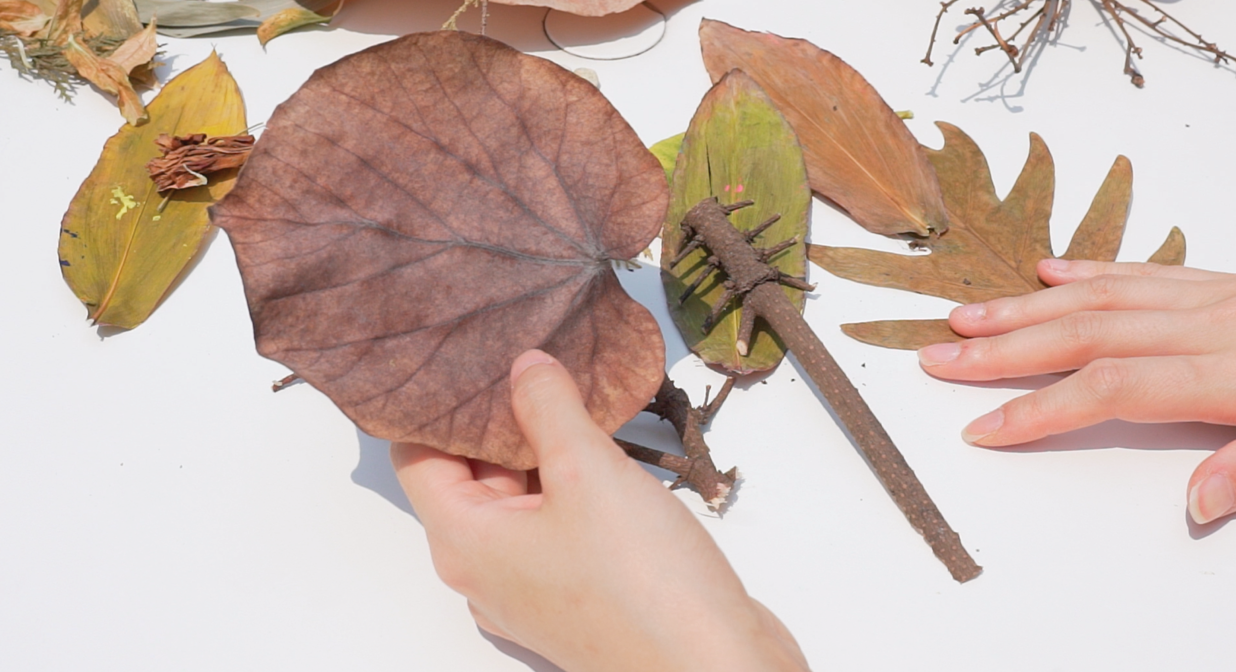 Finding Resilience Through Art Therapy | 《找專屬你的藝術柔韌療程》