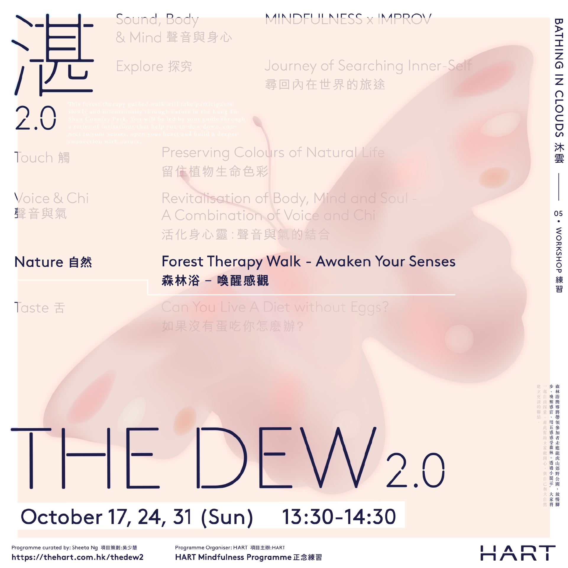 The Dew 2.0: Nature 自然 | Forest Therapy Walk - Awaken Your Senses 森林浴 - 喚醒感觀