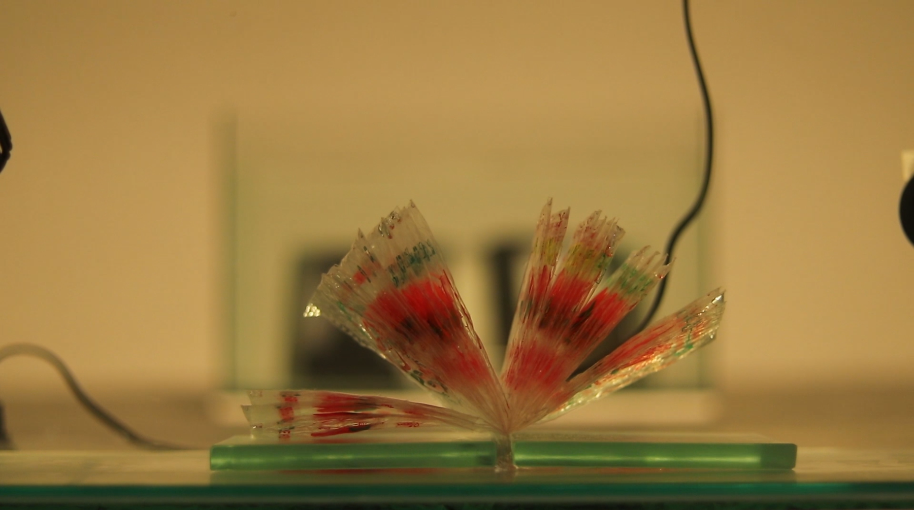  Lesley-Anne Cao, A song plays from another room (Book for fruit), 2021.  Various plastic ponkan wrappers, glass tank, wave makers, glass sheets, mirror, 60 x 40 x 35 cm.  Courtesy of MO_Space Gallery and Miguel Lorenzo Uy. 