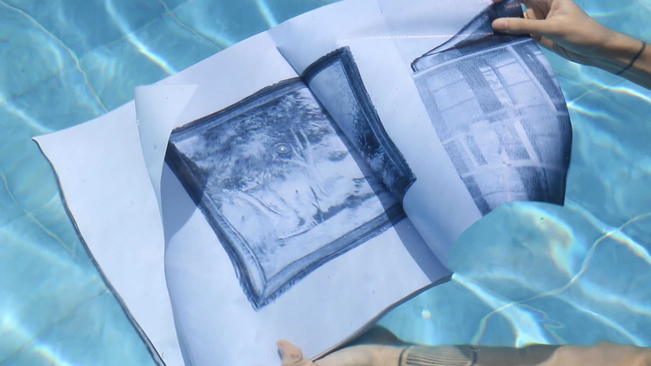  Lesley-Anne Cao, Dreams of speaking (Book for weeds), 2020.  Single channel HD video, loop.  Courtesy of the artist and Fries Bersales. 