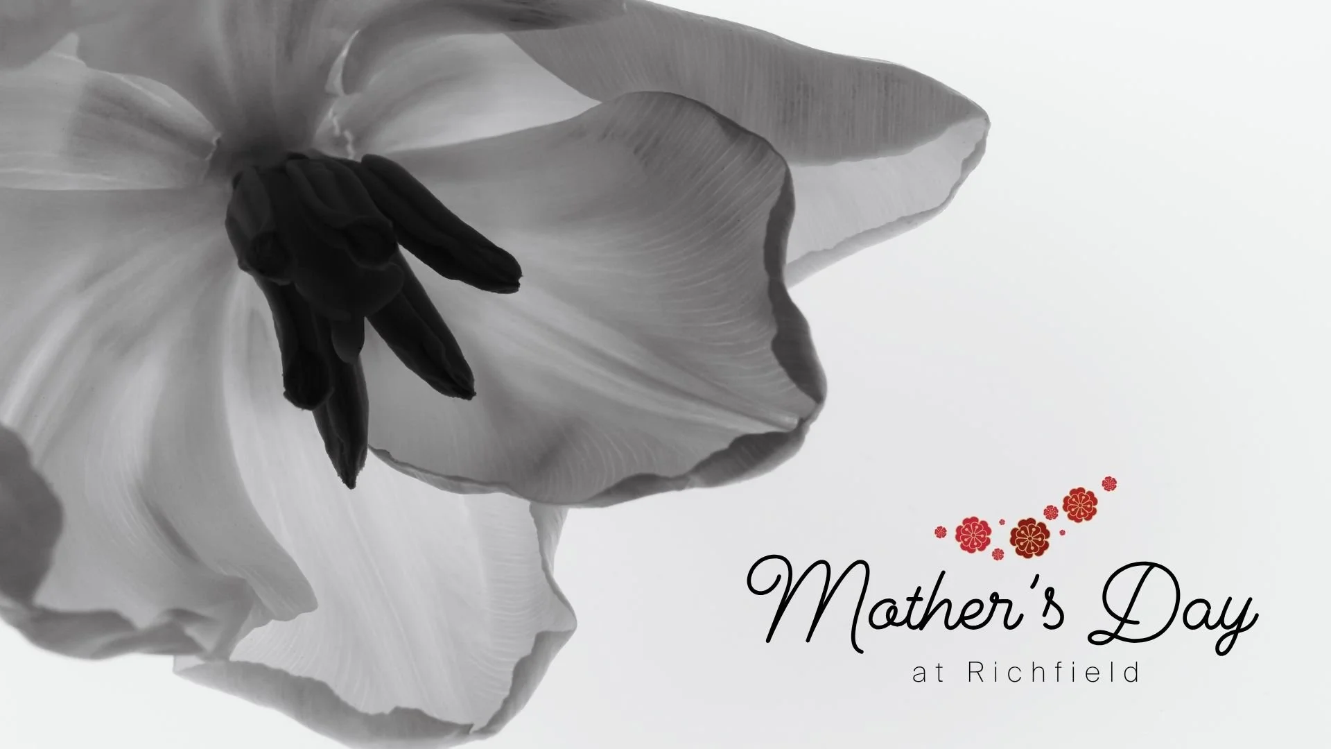 Mother's Day
