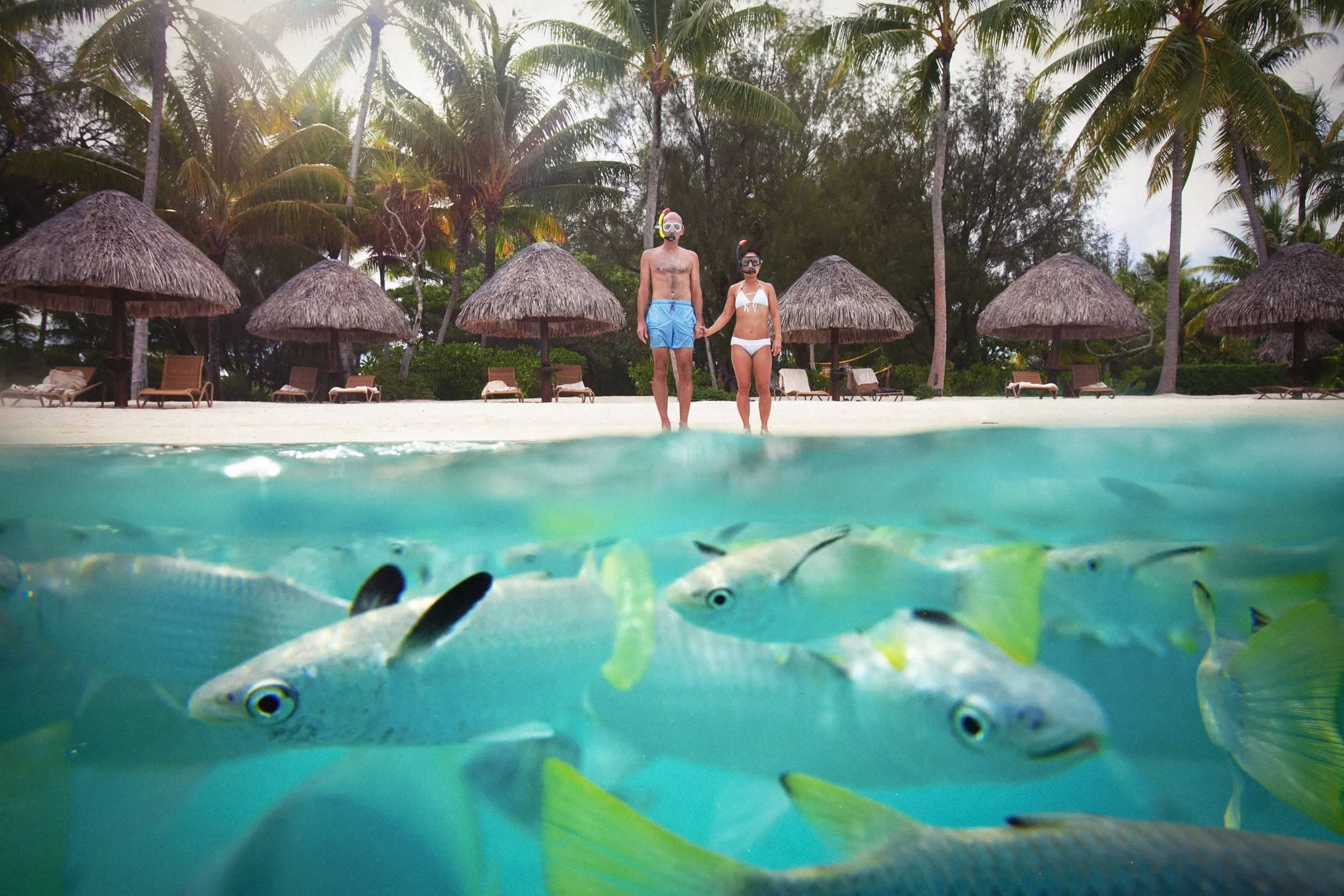 Couple standing on a beach, viewed from underwater perspective with fish swimming below, tropical palm trees, and thatched huts in the background.