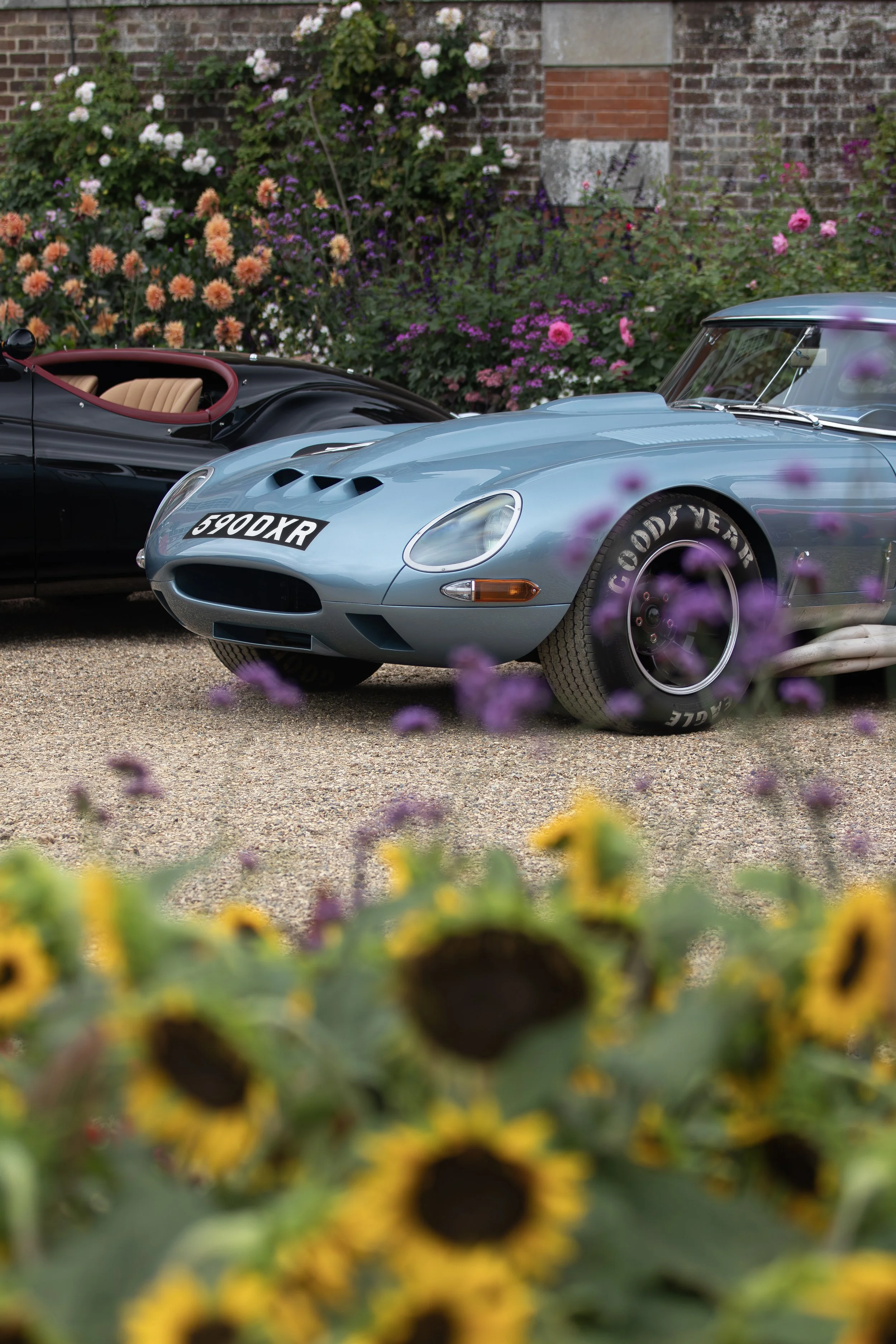 E Type Hampton Court 2.jpg