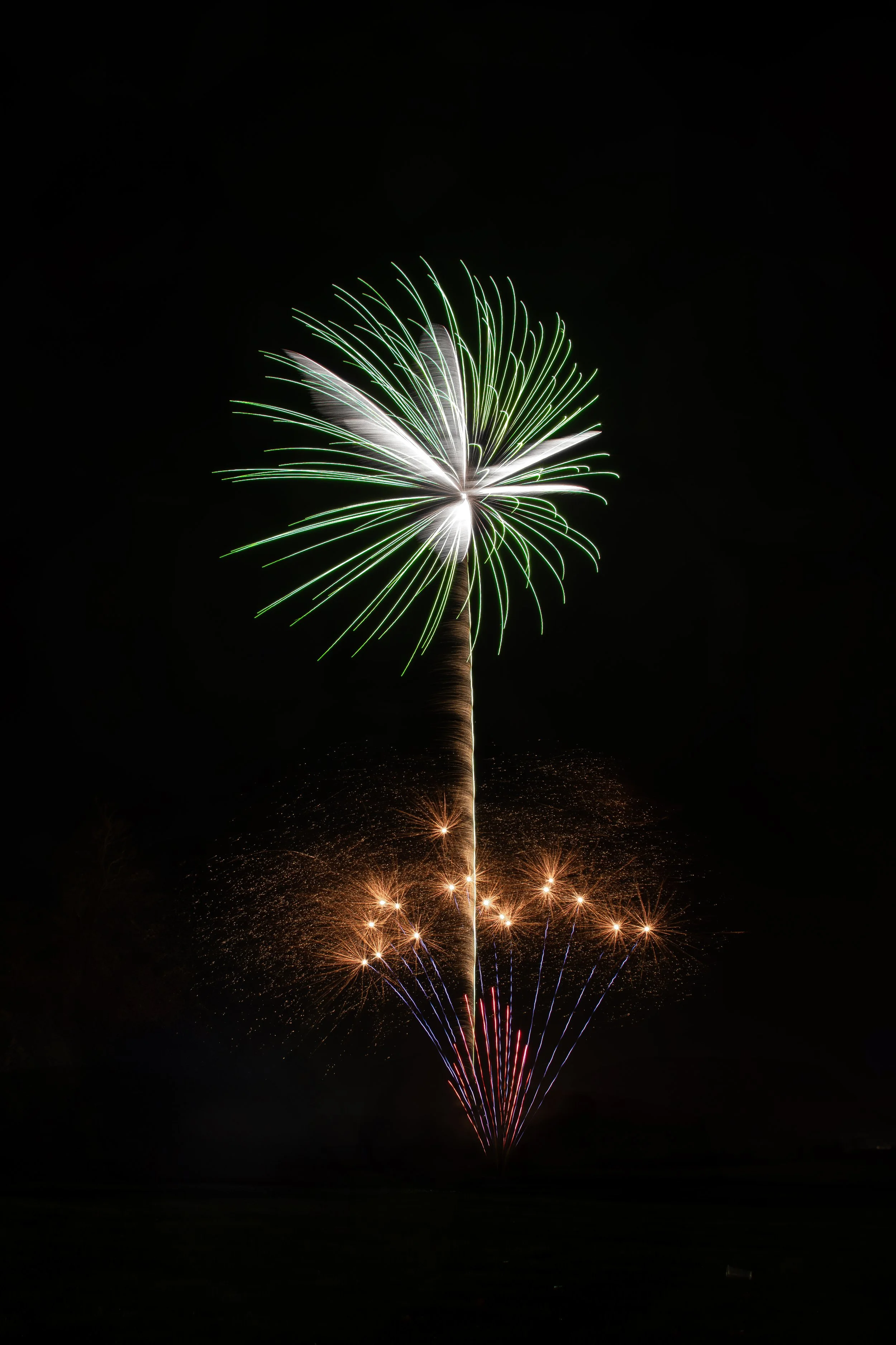Firework.jpg