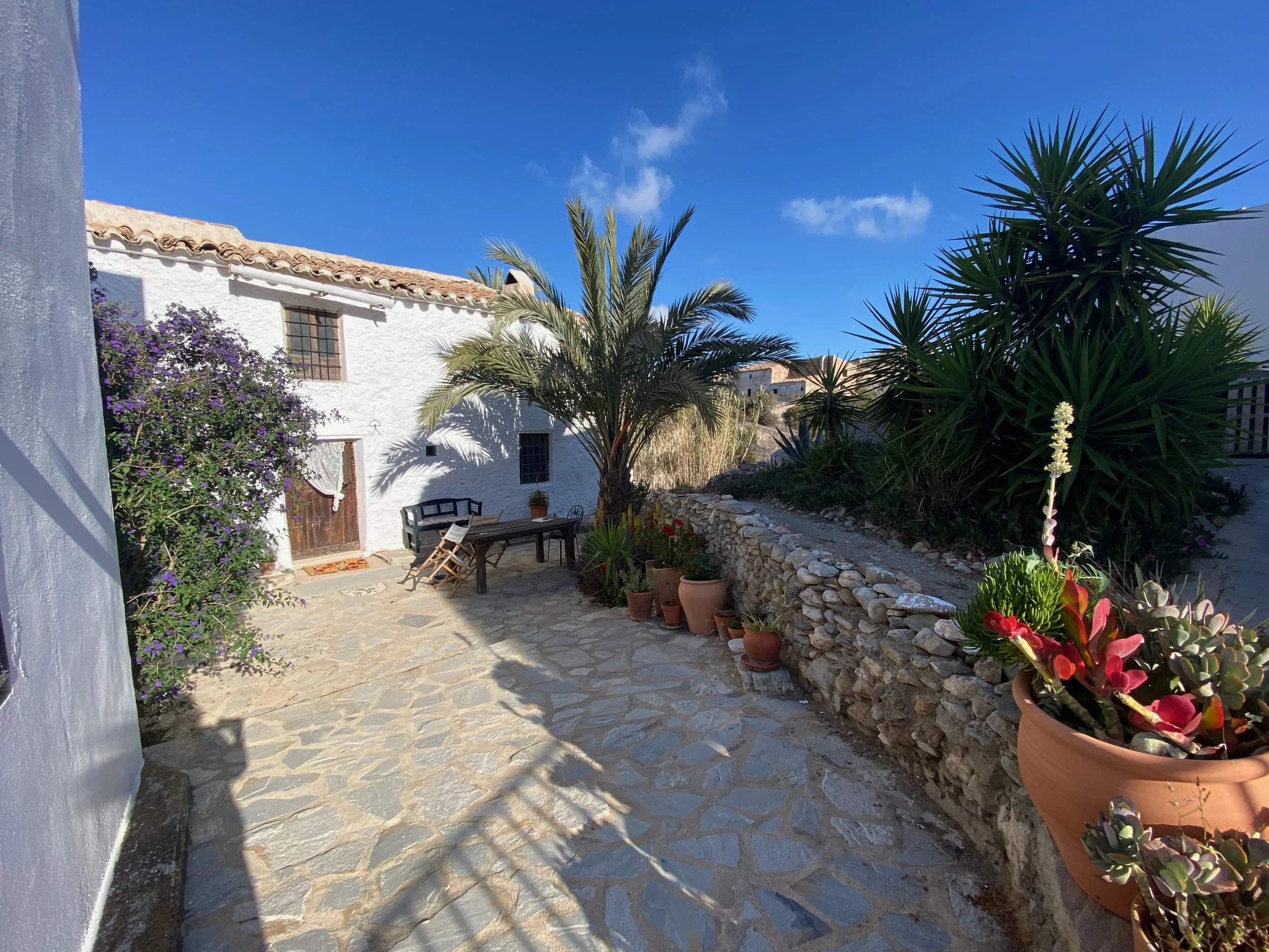 A sunny outdoor patio with cobblestone flooring, a white stucco house with wooden door and small window, potted plants, palm tree, flowering bushes, and a blue sky.