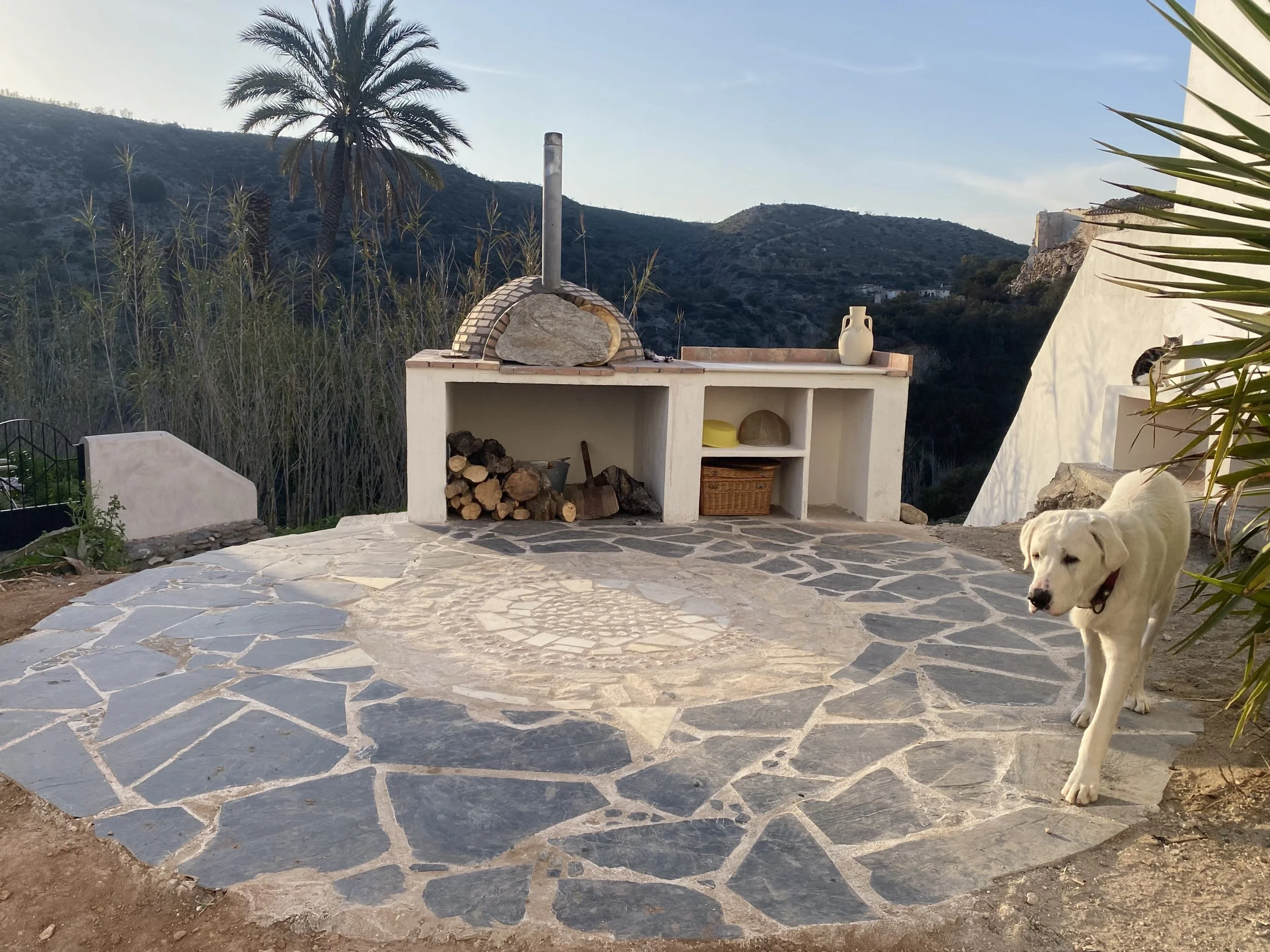 Outdoor stone patio with a white puppy walking, a built-in outdoor fireplace with firewood, and a scenic hilly landscape with palm trees in the background.