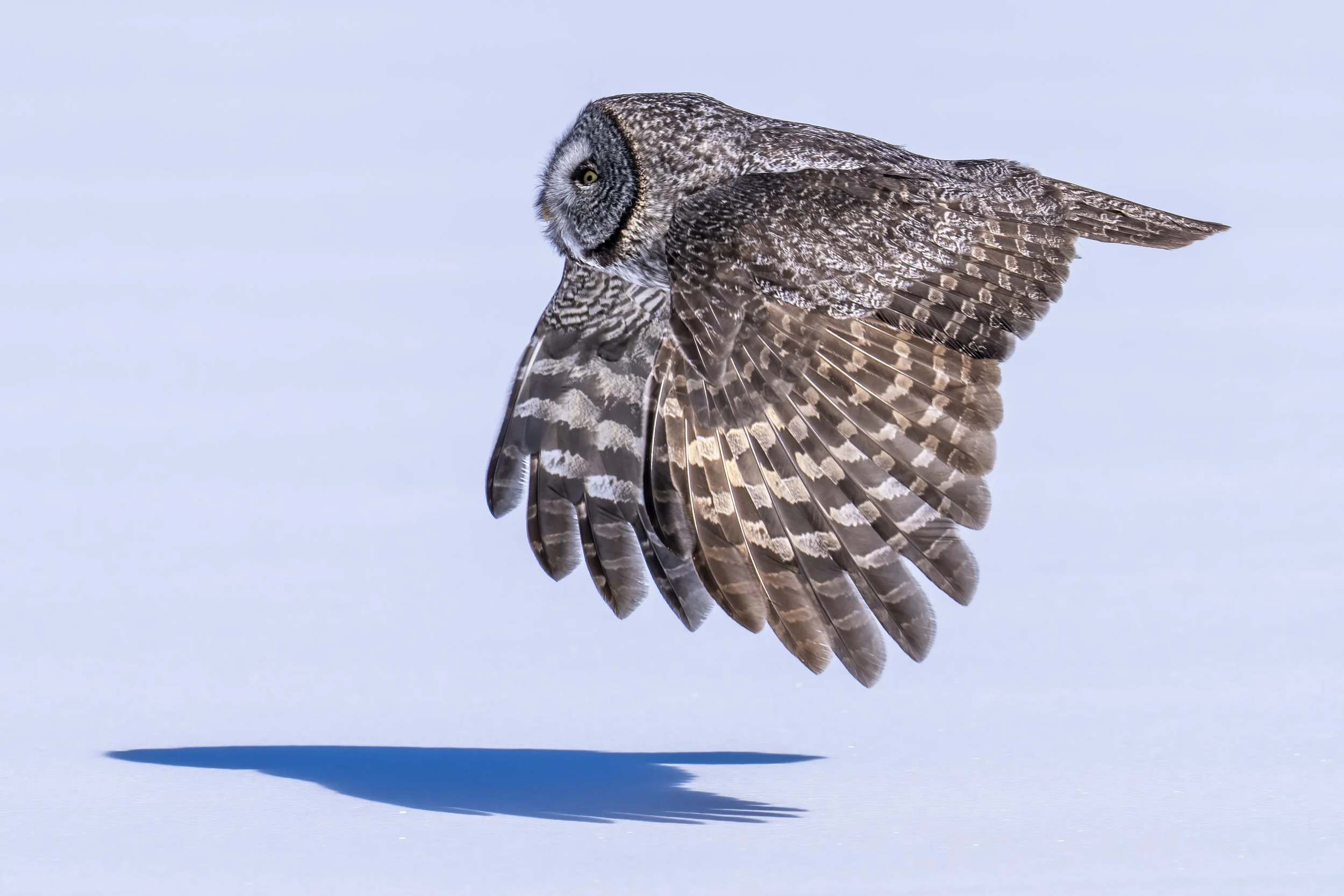 20230321-_DSC7596-Edit.jpg