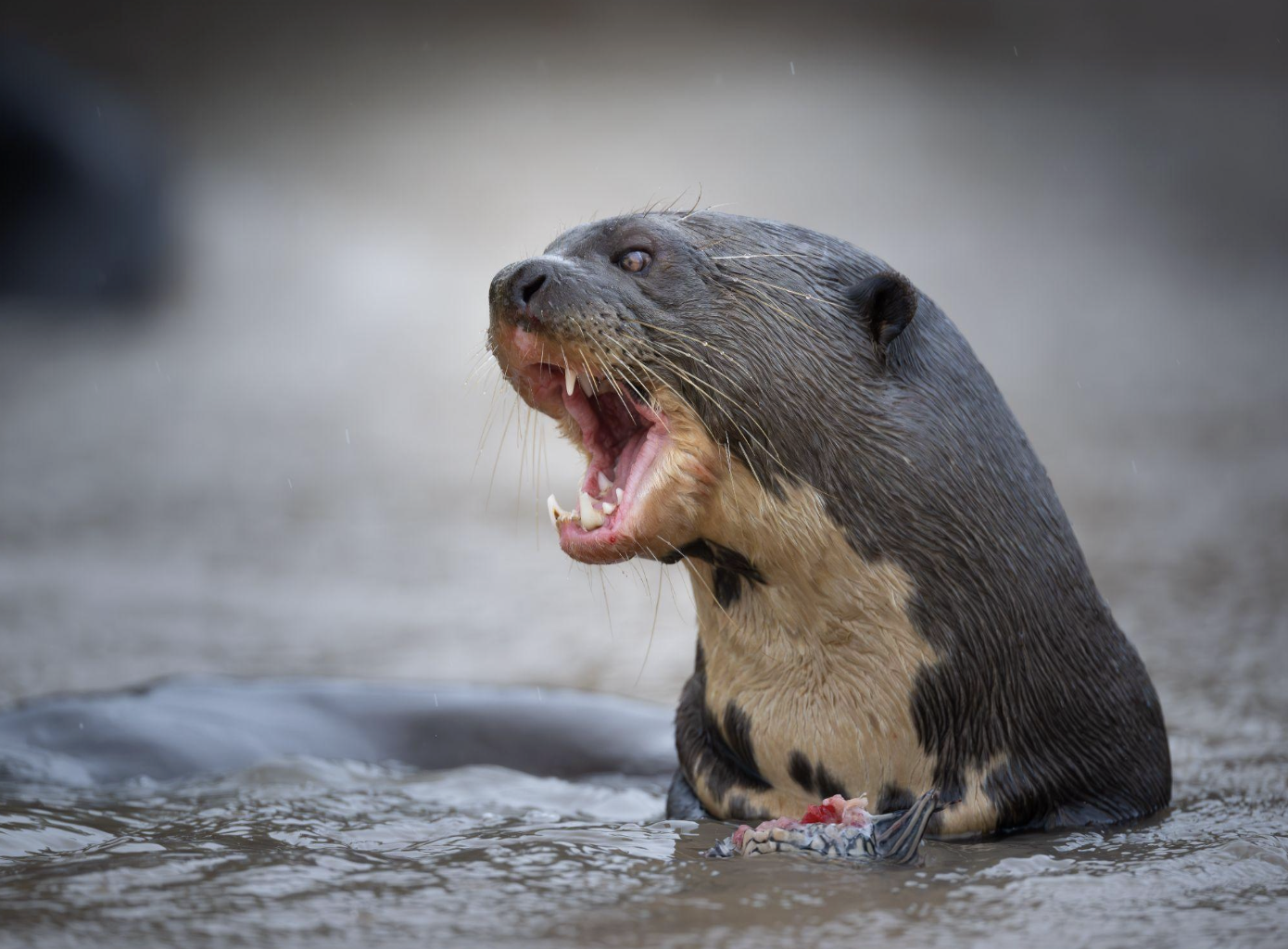 Screenshot 2026-04-07 at 11.00.01 AM.png