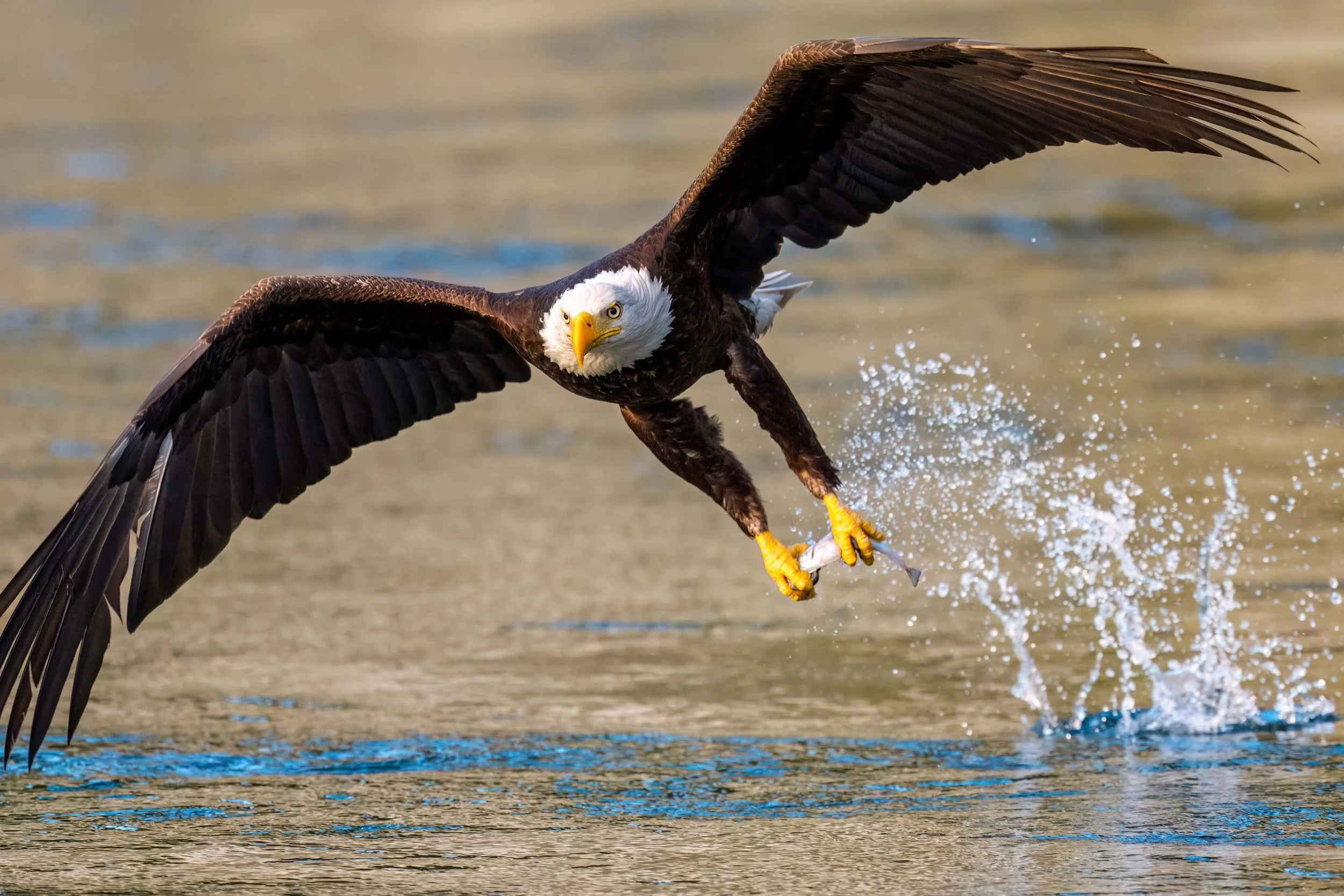 _KA24340-Edit.jpg