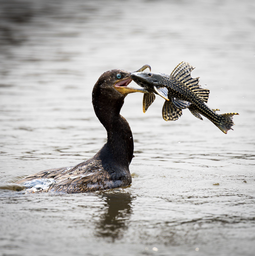 Screenshot 2026-04-07 at 11.00.36 AM.png