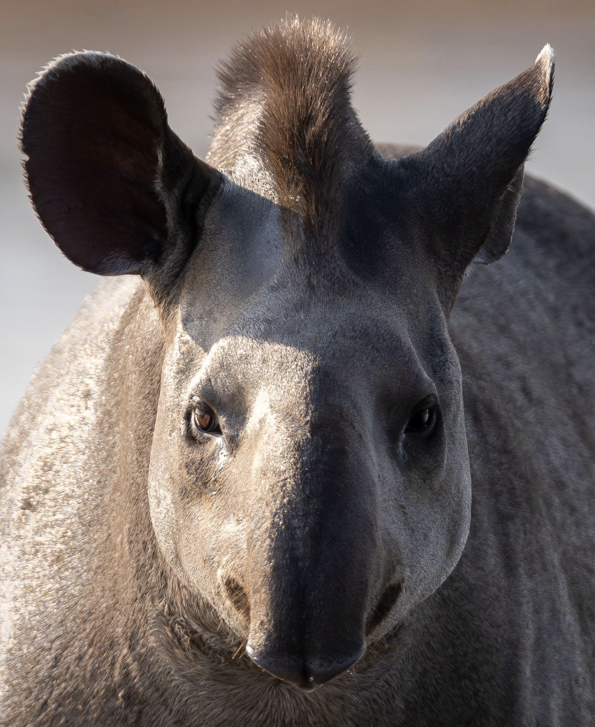 Screenshot 2026-04-07 at 11.00.26 AM.png