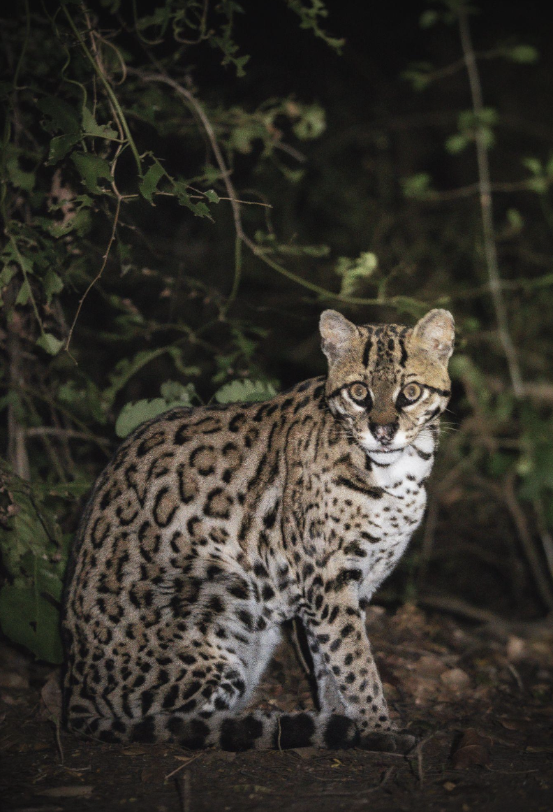 Screenshot 2026-04-07 at 11.03.25 AM.png