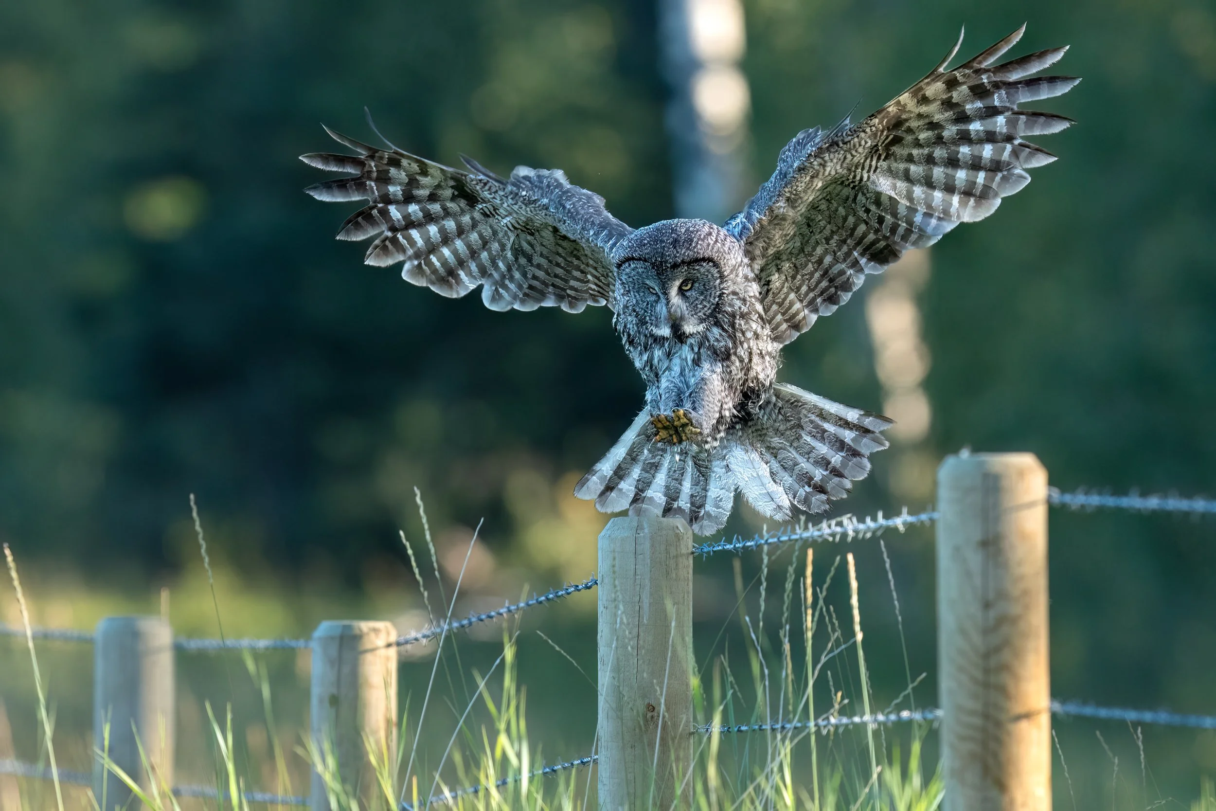 20250825-_DSC7091-Edit-2.jpg