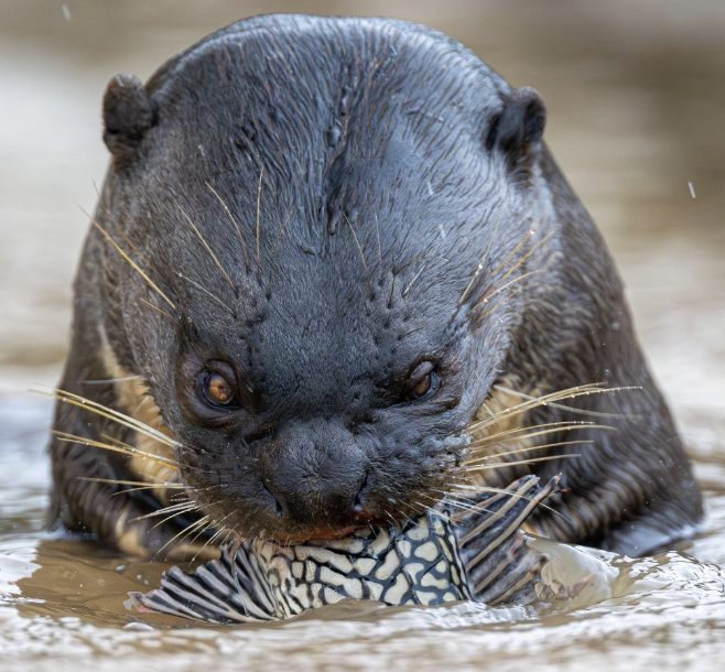 Screenshot 2026-04-07 at 10.58.55 AM.png