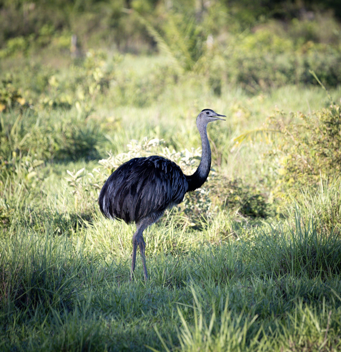 Screenshot 2026-04-07 at 11.04.14 AM.png