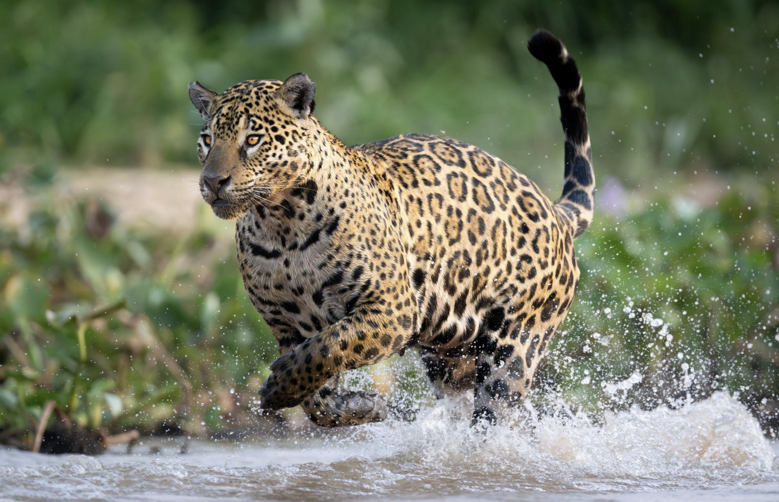 Screenshot 2026-04-07 at 11.00.56 AM.png