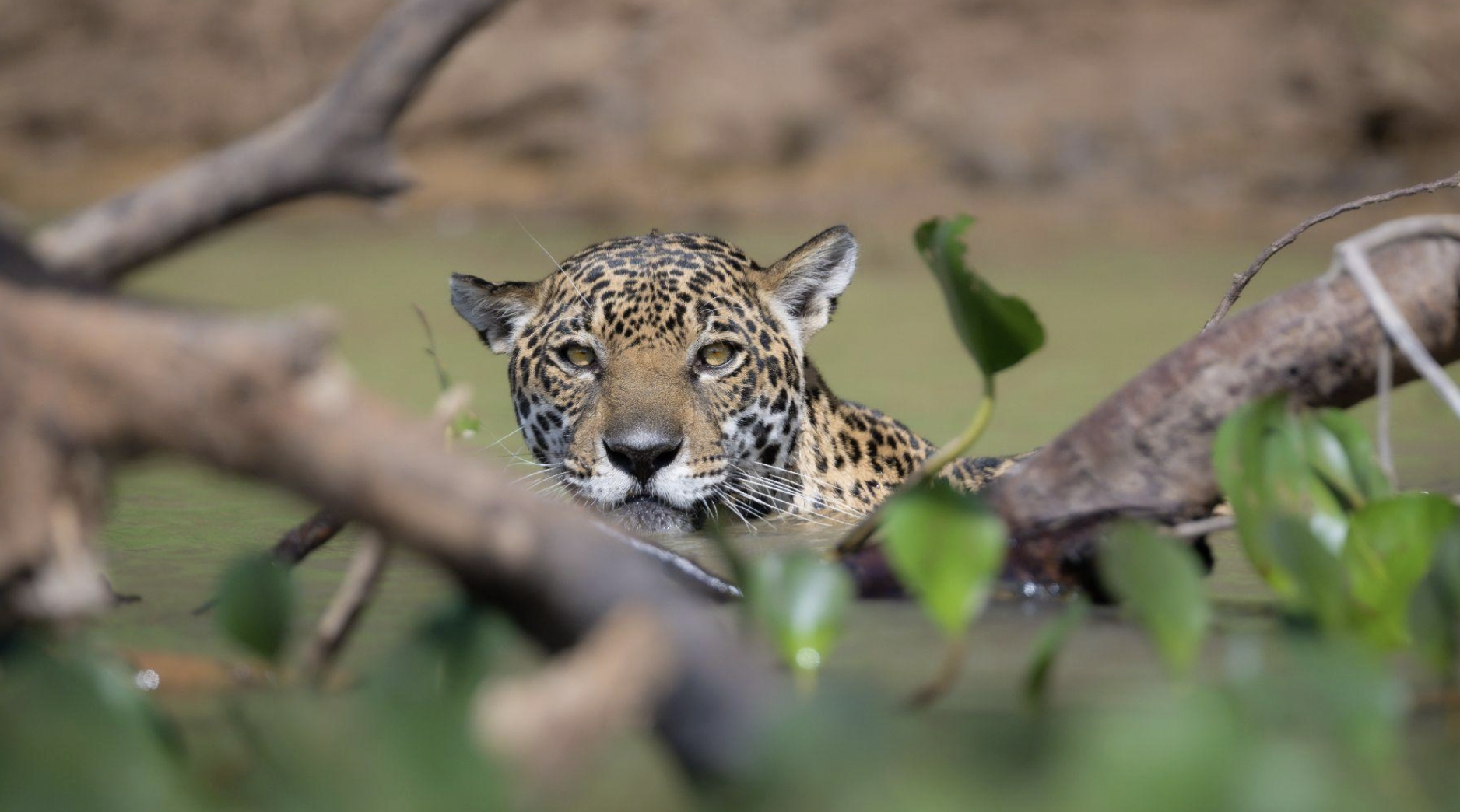 Screenshot 2026-04-07 at 11.01.24 AM.png