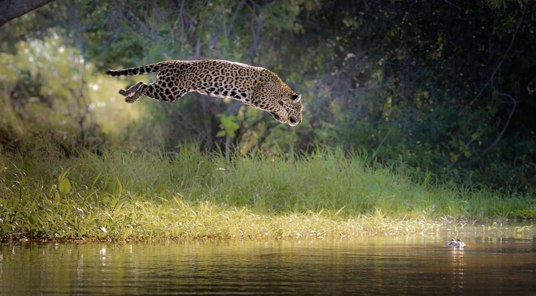 Screenshot 2026-04-07 at 11.01.17 AM.png