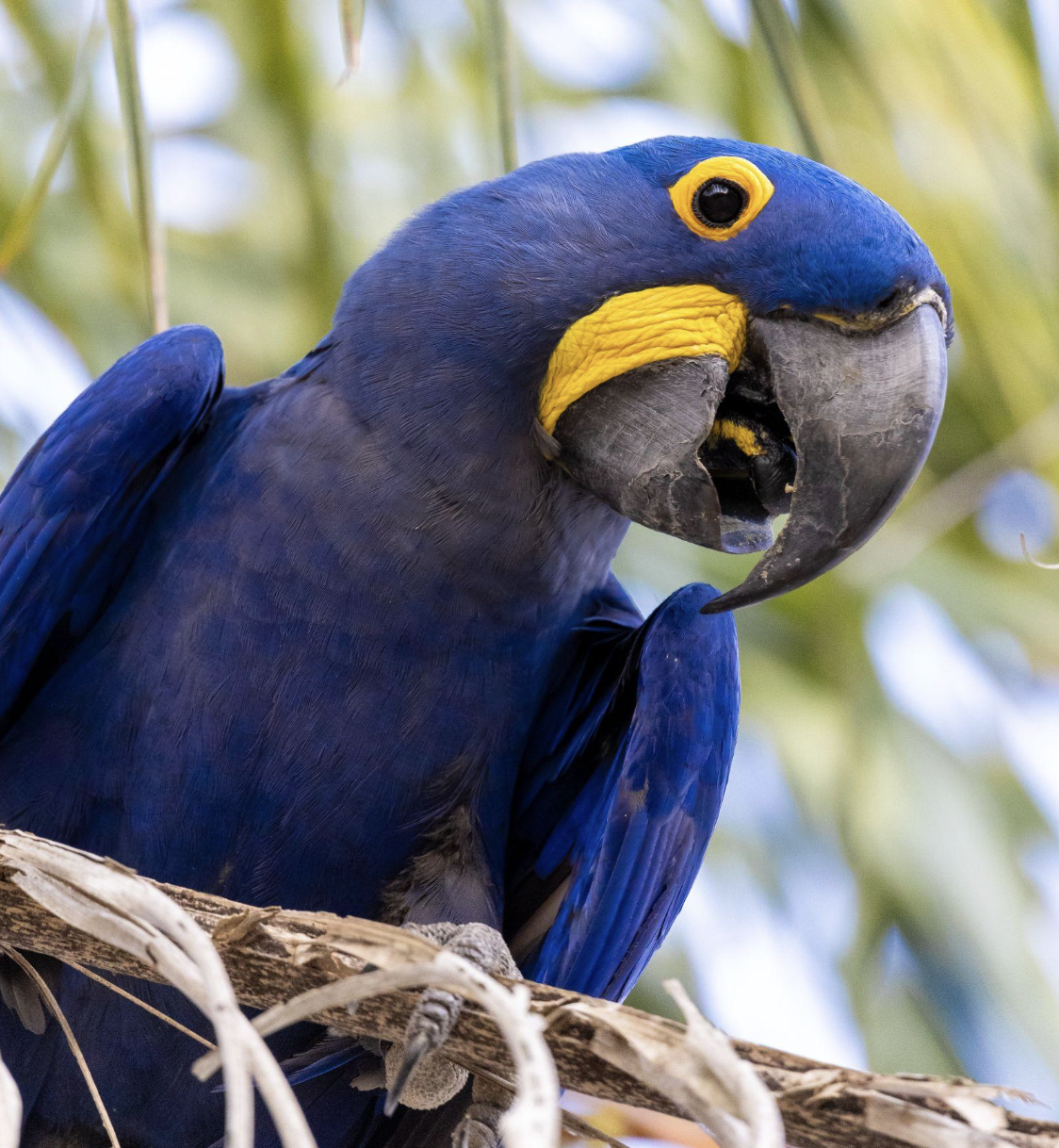 Screenshot 2026-04-07 at 11.03.09 AM.png