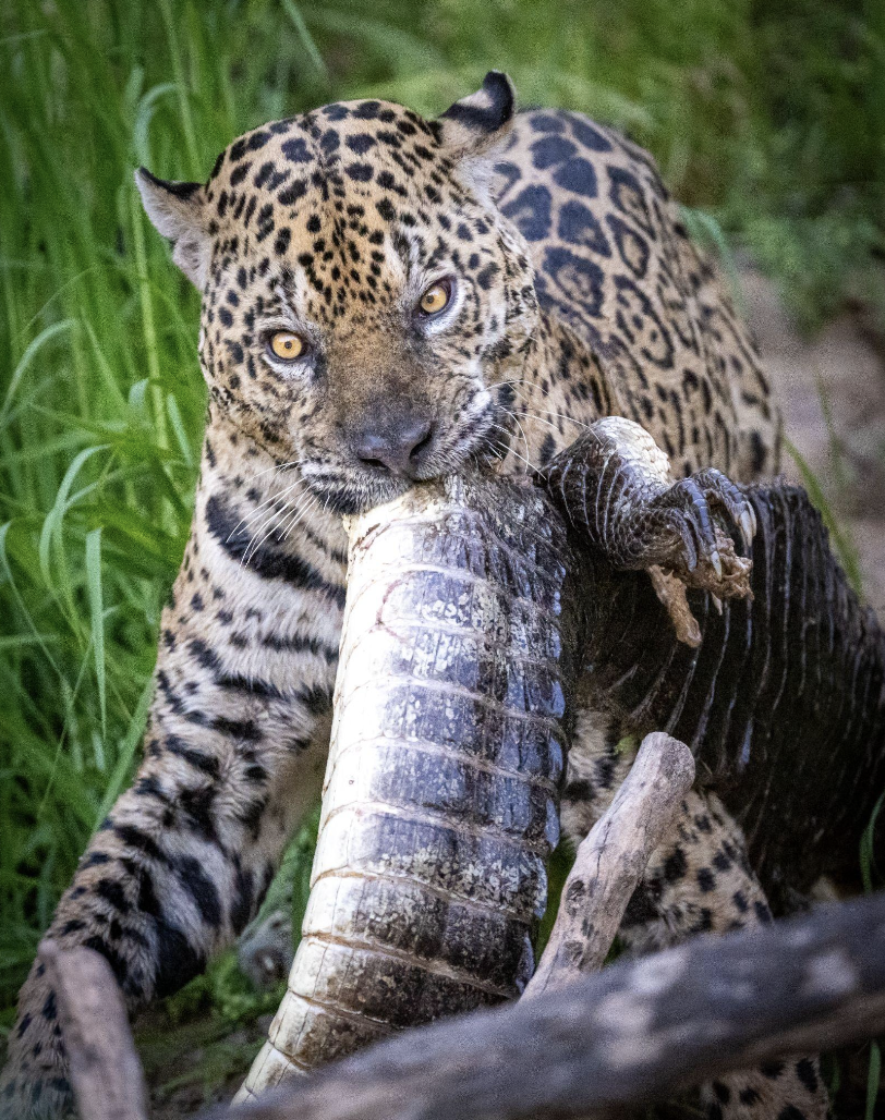 Screenshot 2026-04-07 at 11.00.48 AM.png