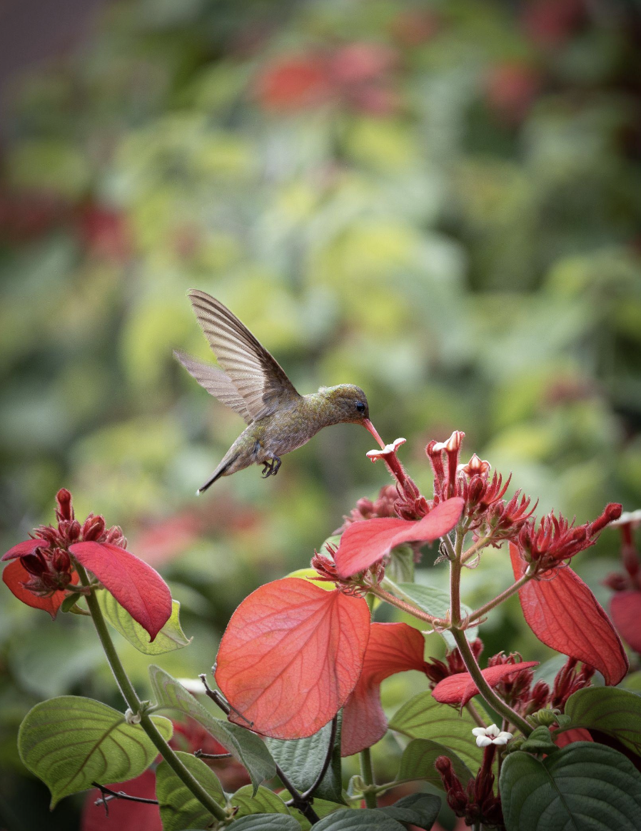 Screenshot 2026-04-07 at 11.03.44 AM.png