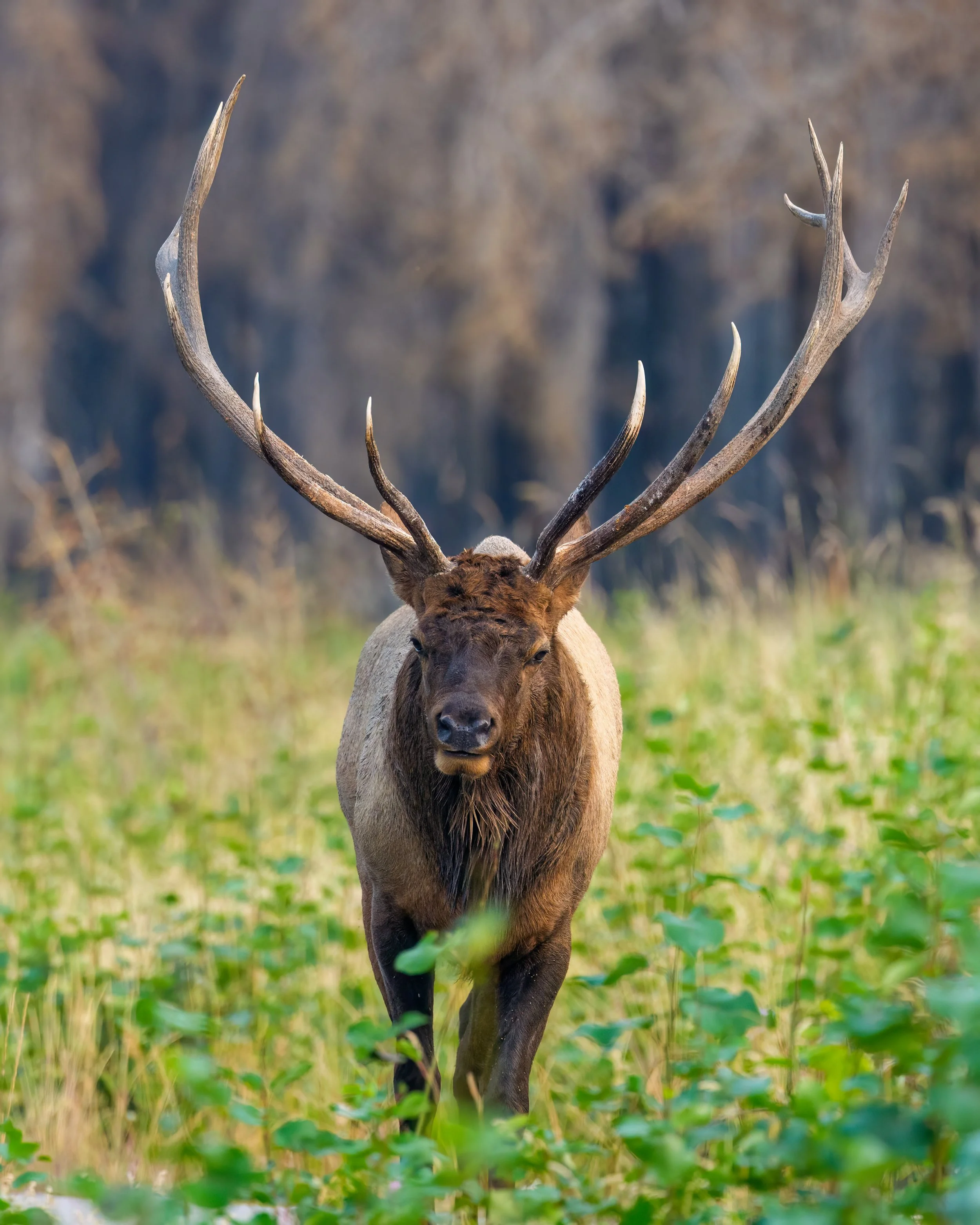 20250913-_DSC1308-Edit.jpg