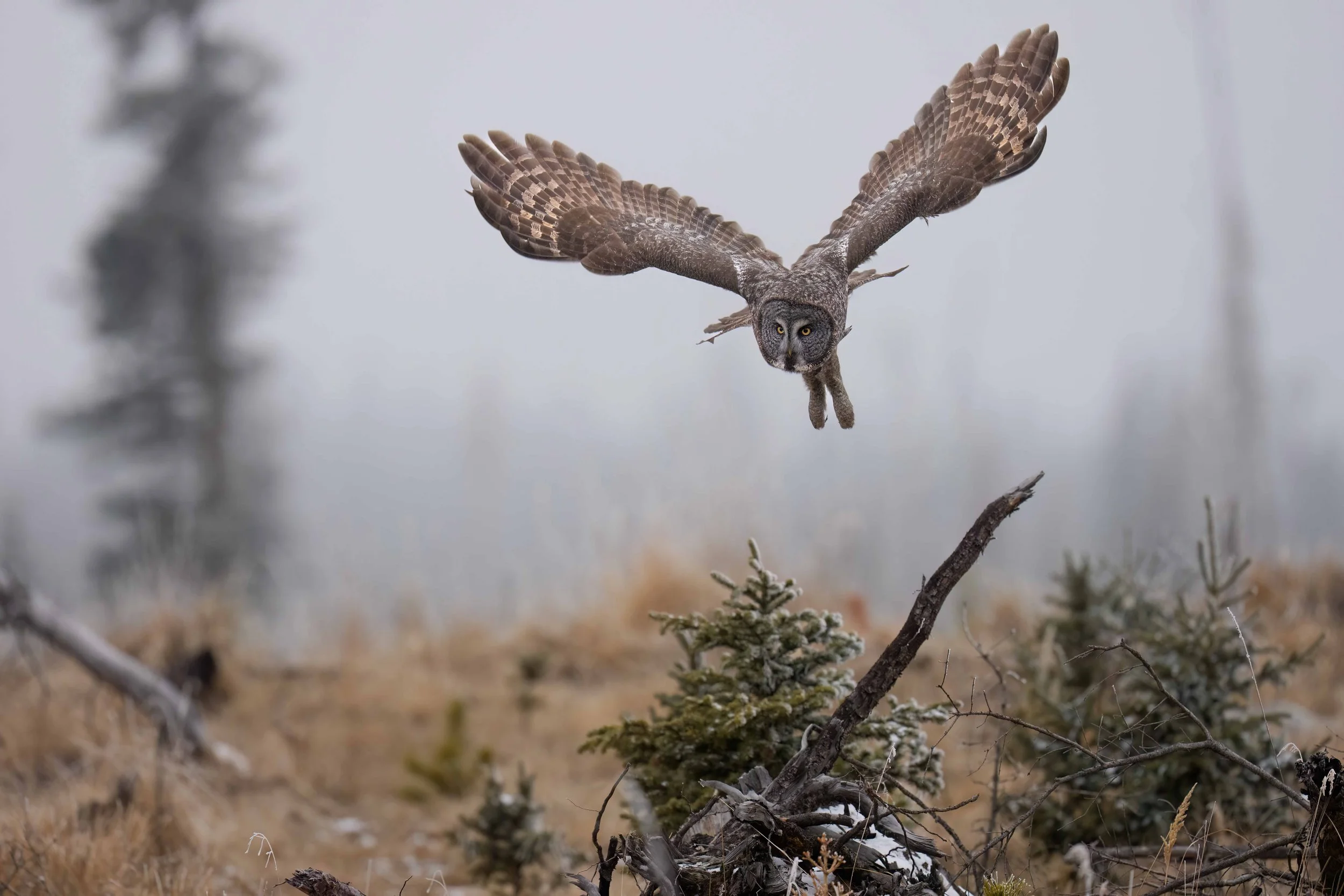 _KA14756-Edit.jpg