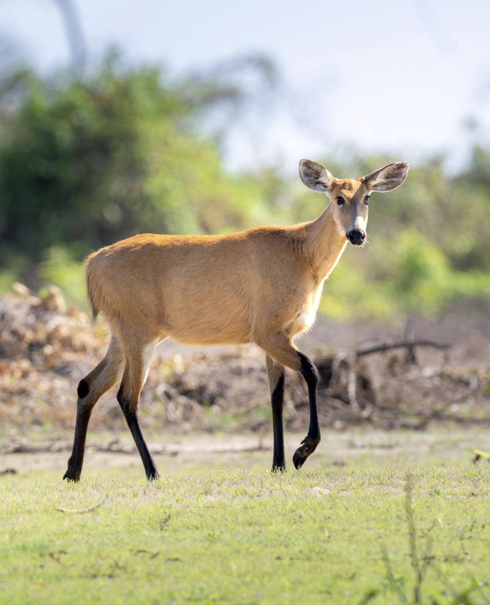 Screenshot 2026-04-07 at 11.04.06 AM.png