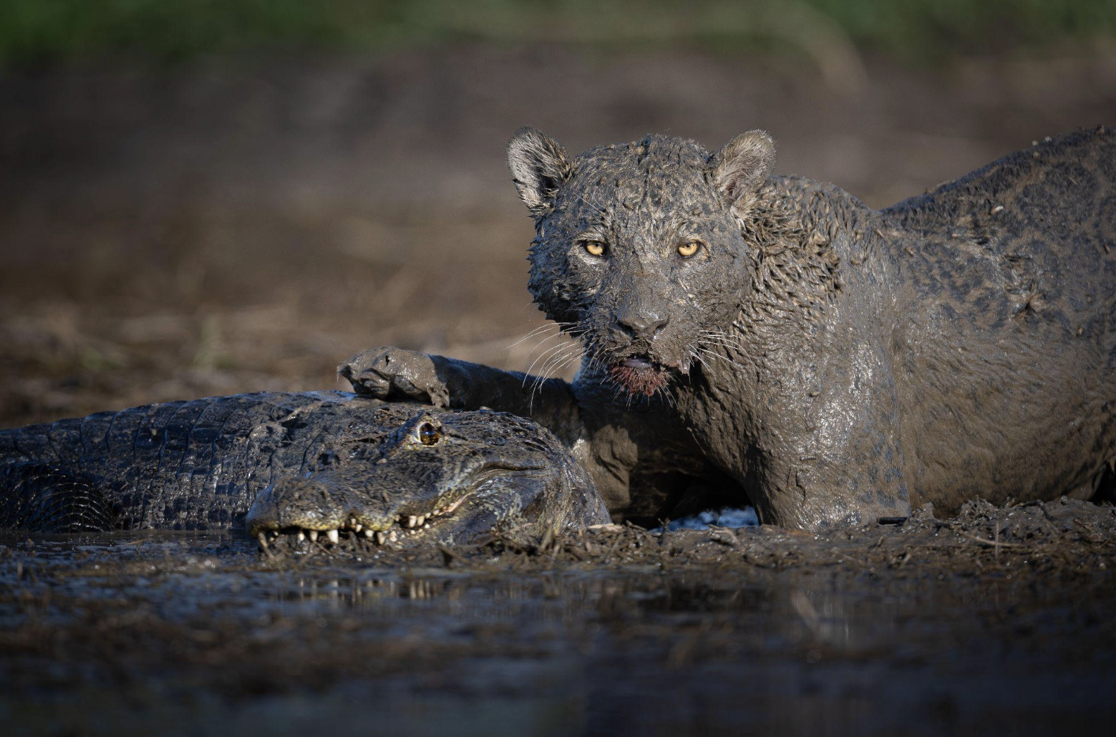 Screenshot 2026-04-07 at 11.01.04 AM.png