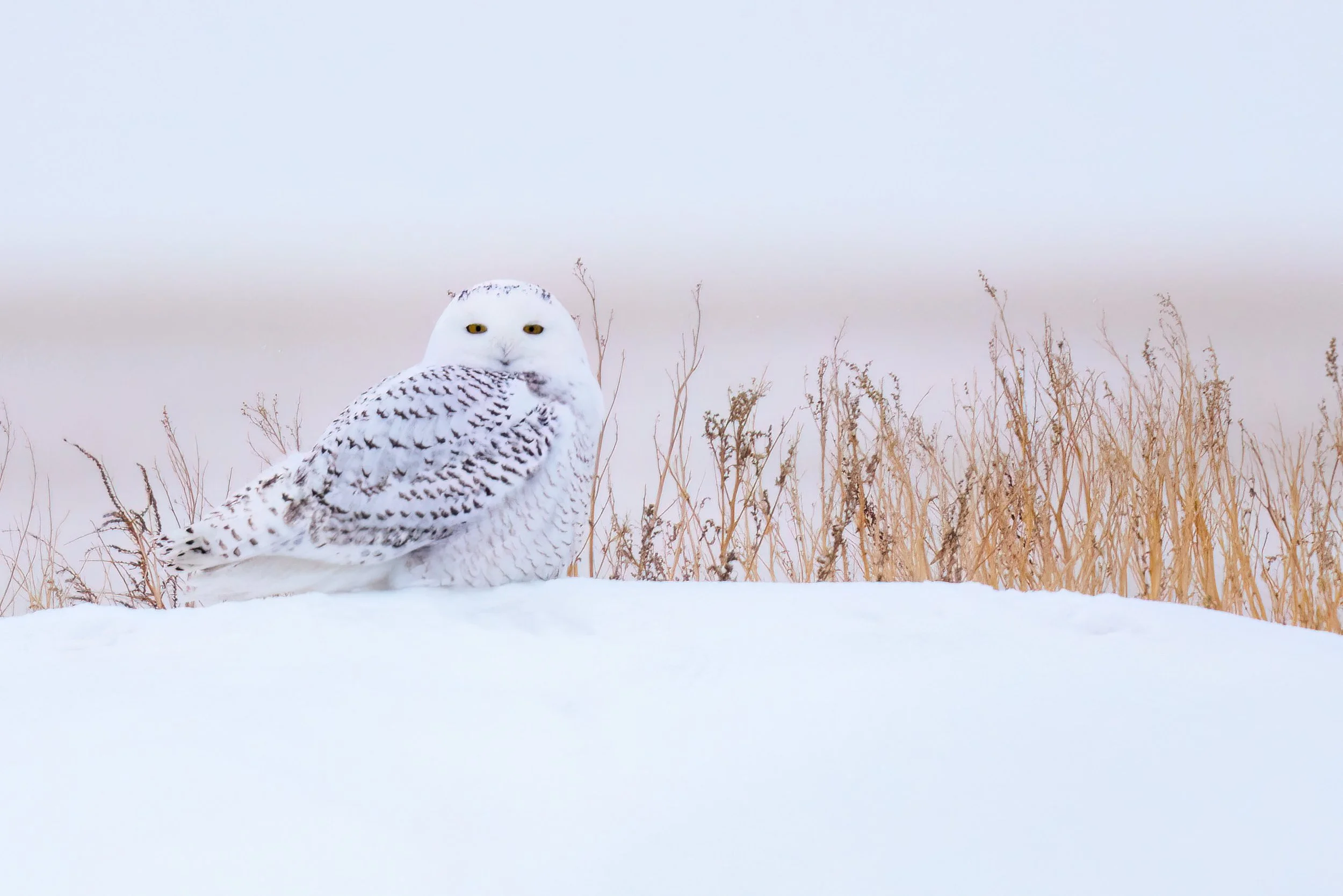 _KA12479-Edit.jpg