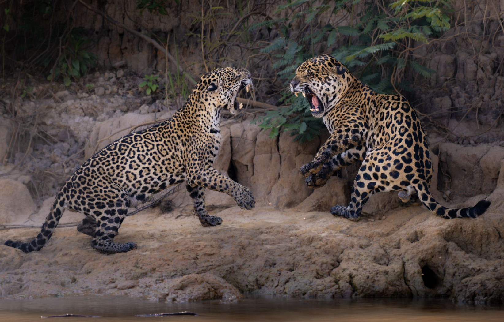 Screenshot 2026-04-07 at 11.00.09 AM.png