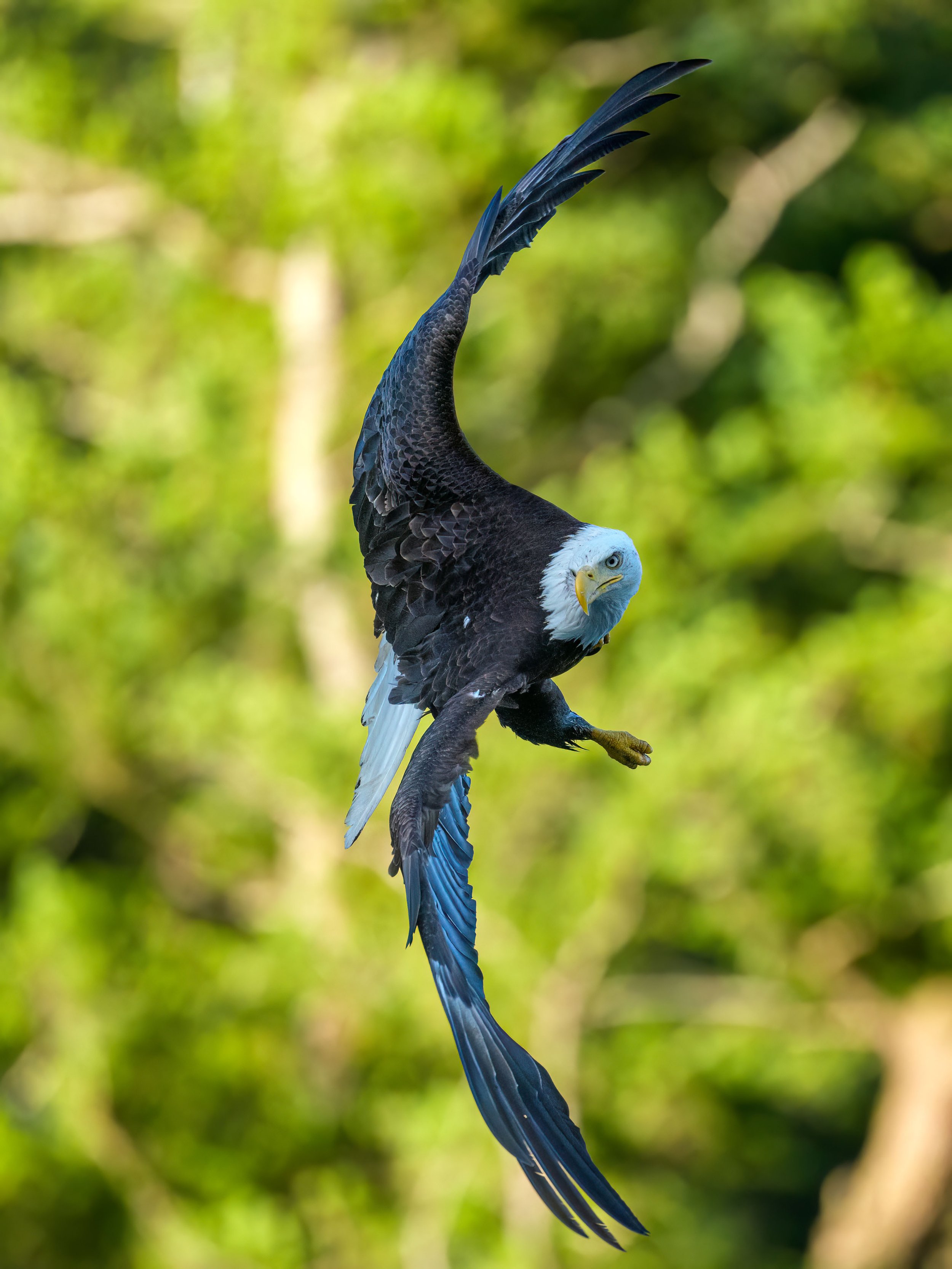 _KA23614-Edit.jpg