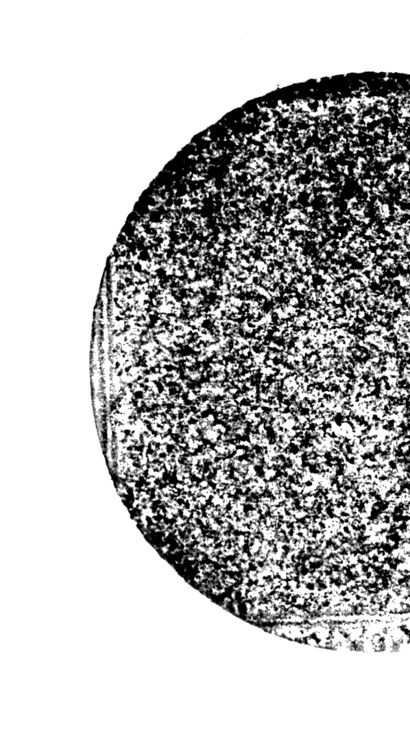Scanning electron microscope image of a circular object revealing detailed surface structure with a porous or textured look, set against a black background.