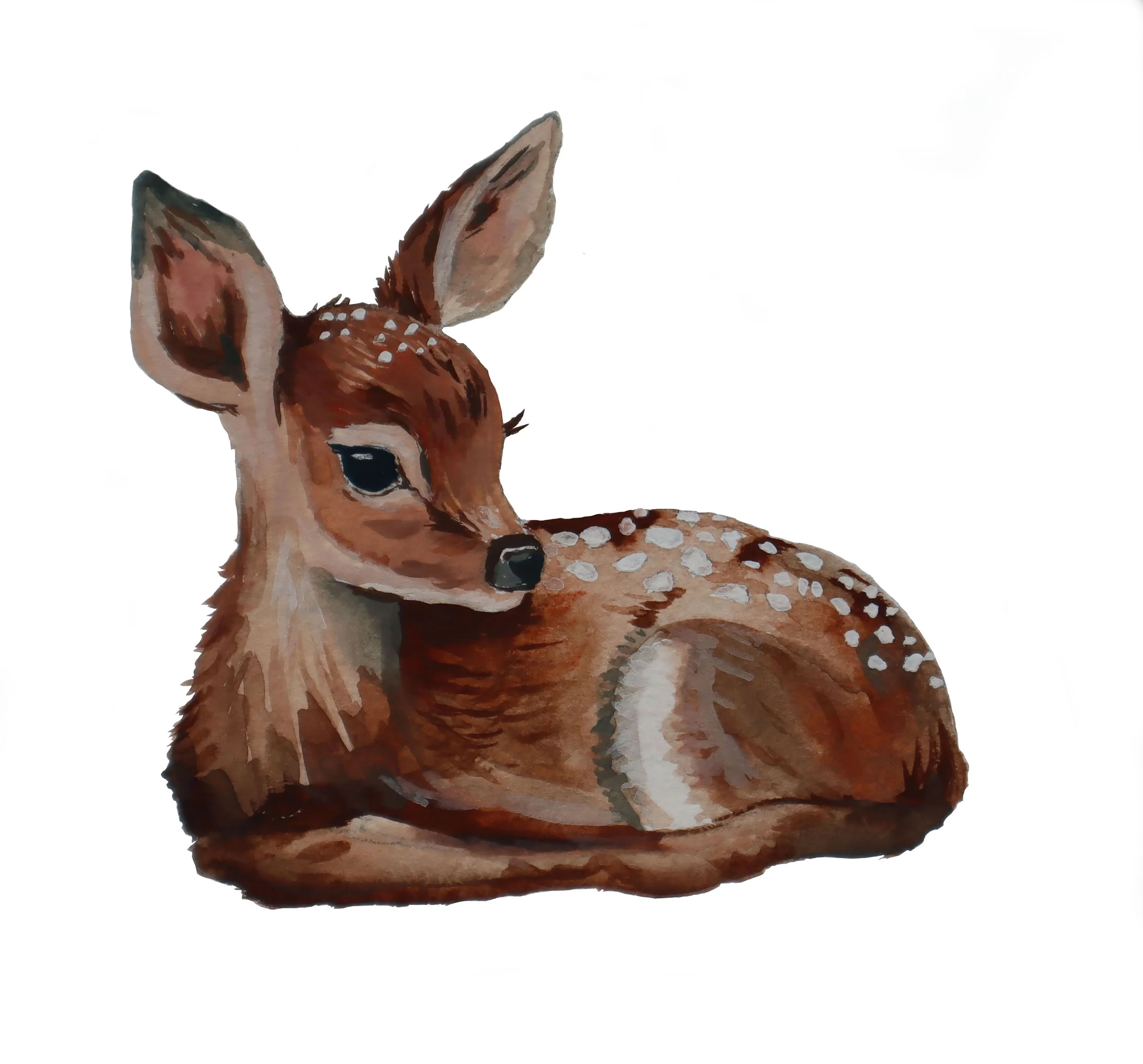 Fawn_low_res.jpg