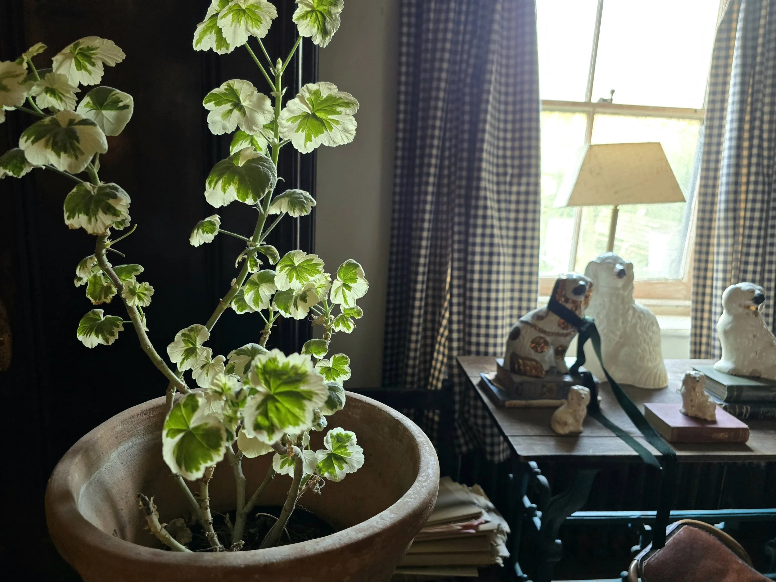 The Lean of February