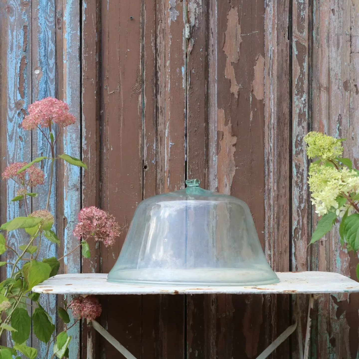 Early 20th-century French hand-blown glass garden cloche.

Originally used in kitchen gardens to protect young plants and extend the growing season. A horticultural object by design &mdash; practical, purposeful, and made for repeated use.

Hand-blow
