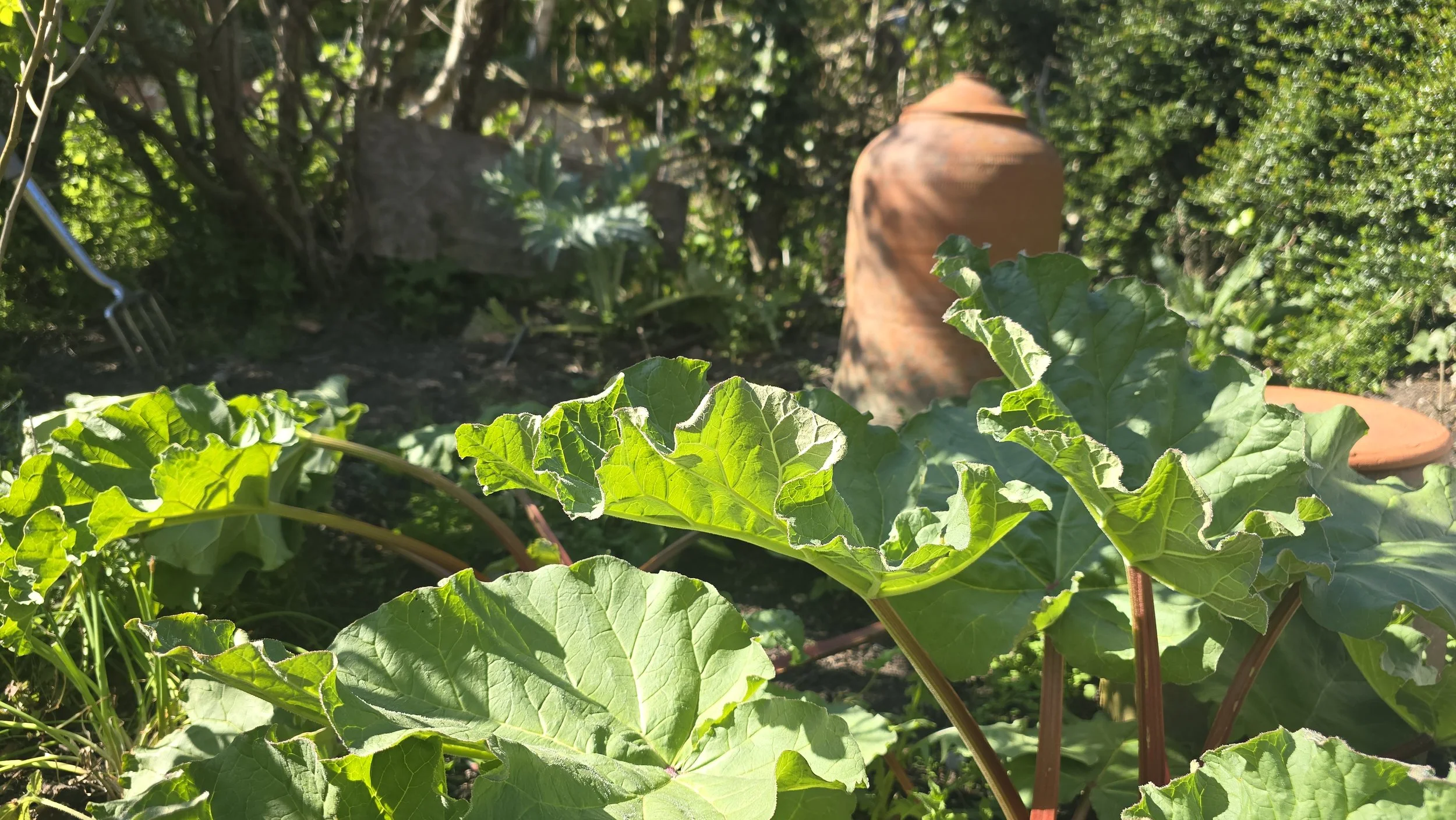 The Garden Stirs