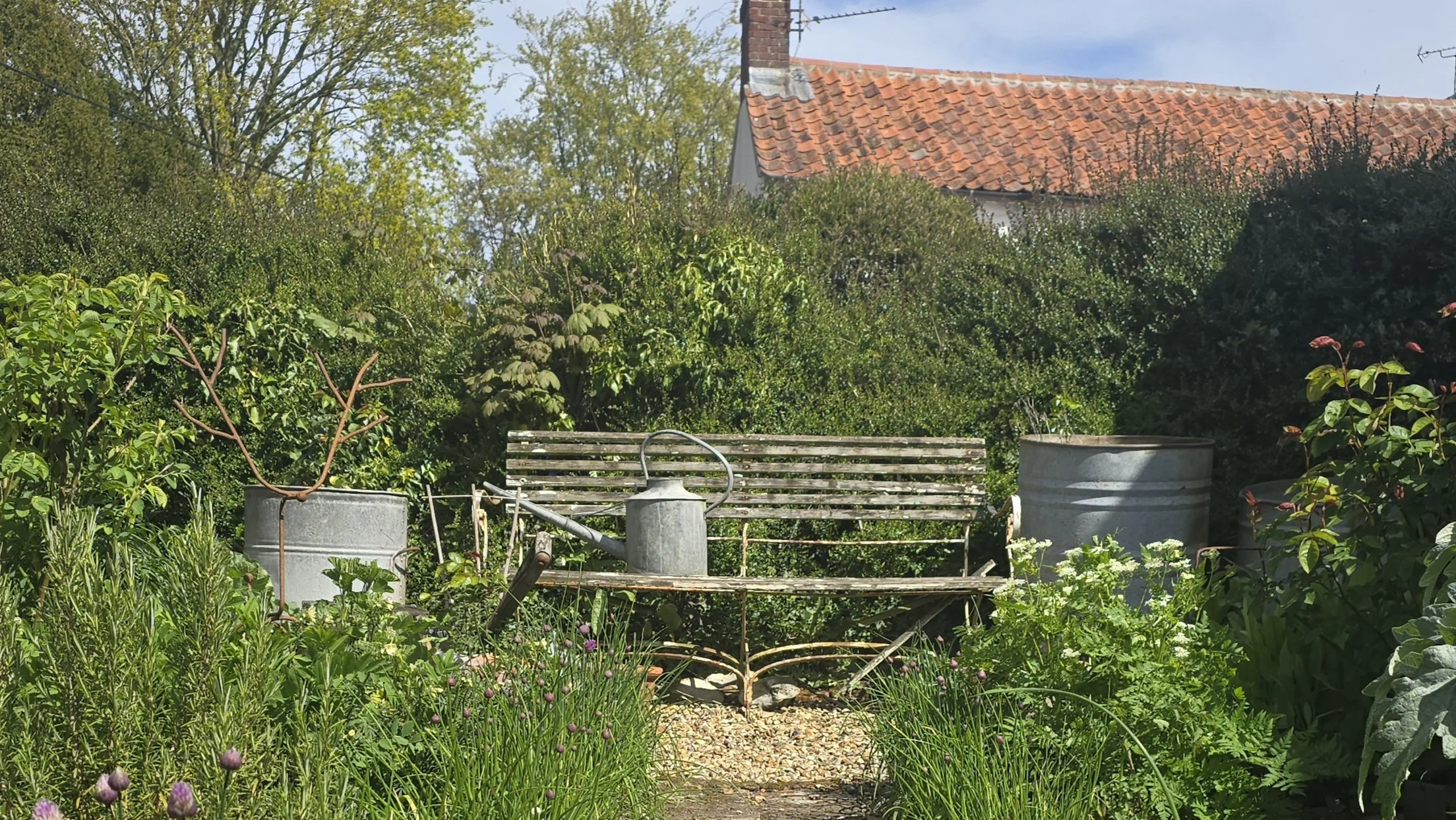 The Rose &amp; Herb Garden.  Late April.