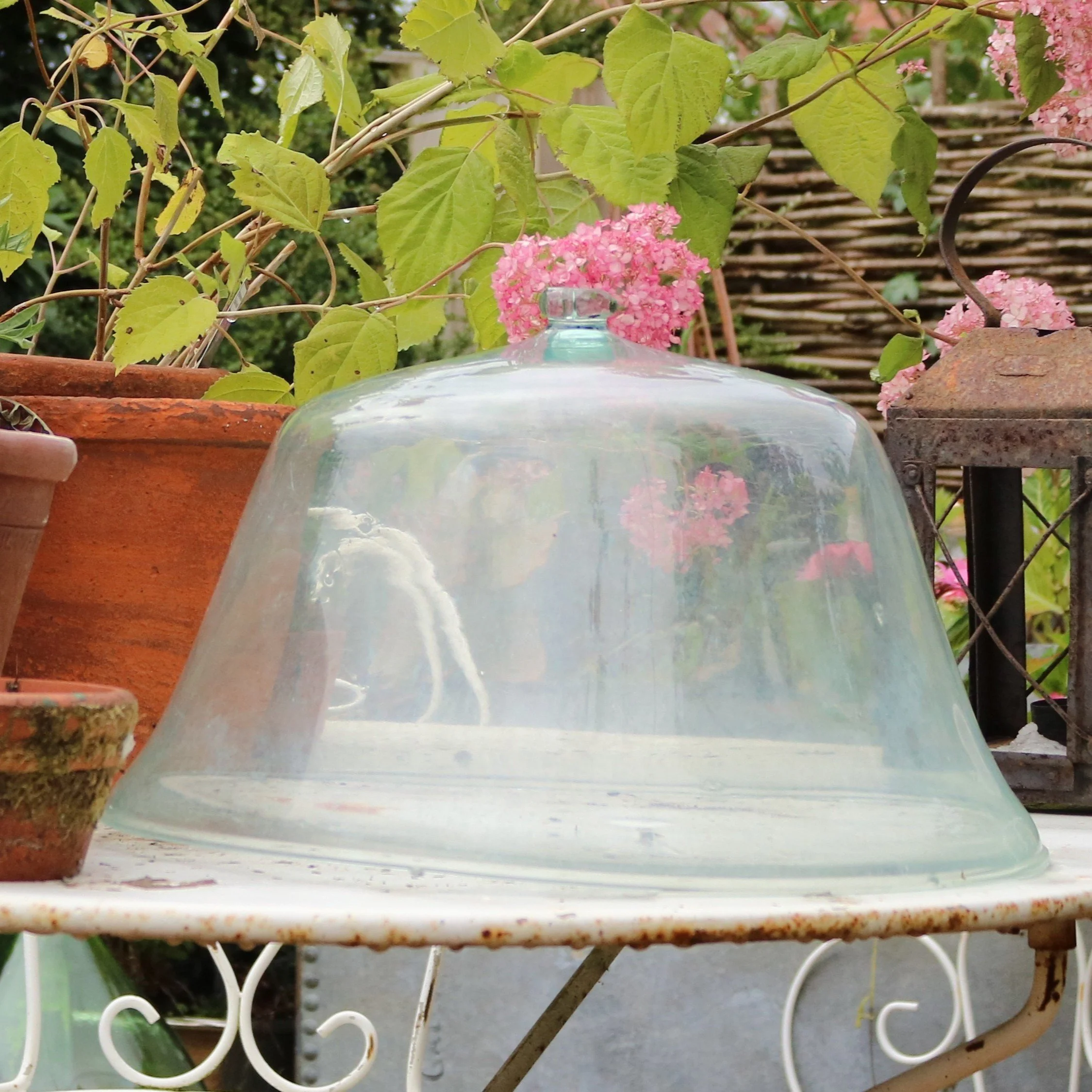 antique-french-glass-garden-cloche-in-situ.jpg.JPG