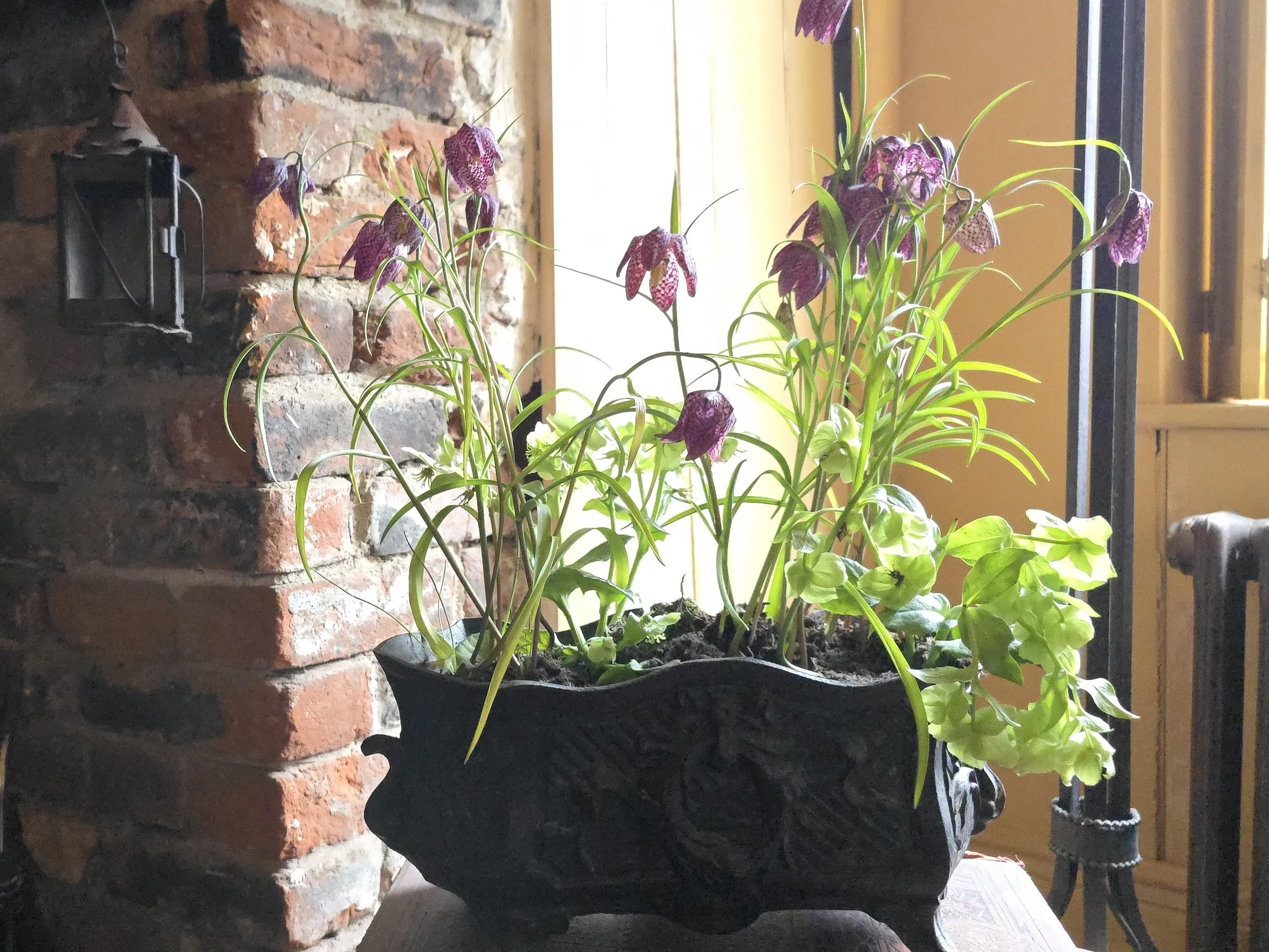 19th-Century French Cast Iron Jardinière — Antique Wreath Motif Planter with Ornate Feet