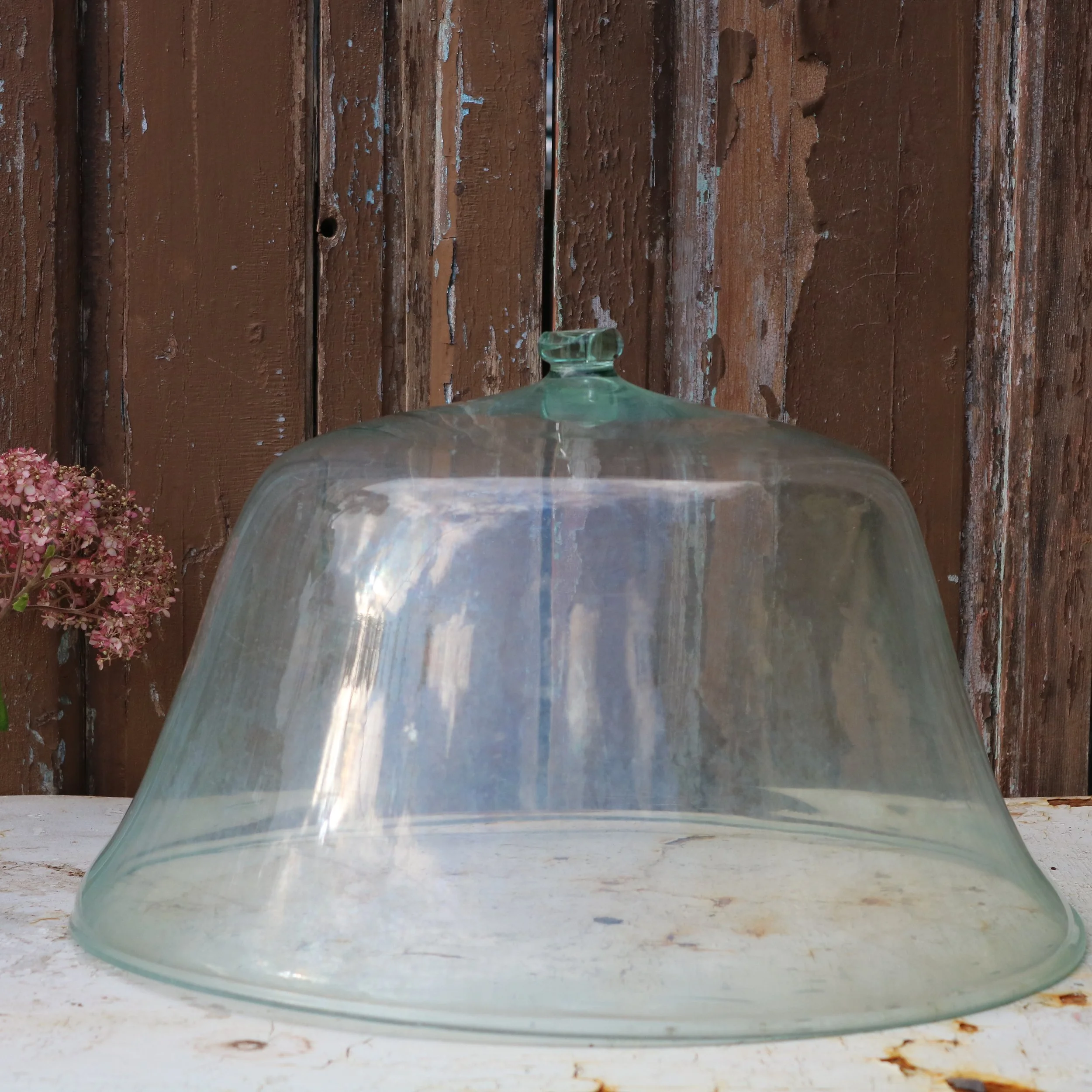 early-20th-century-french-glass-cloche.JPG