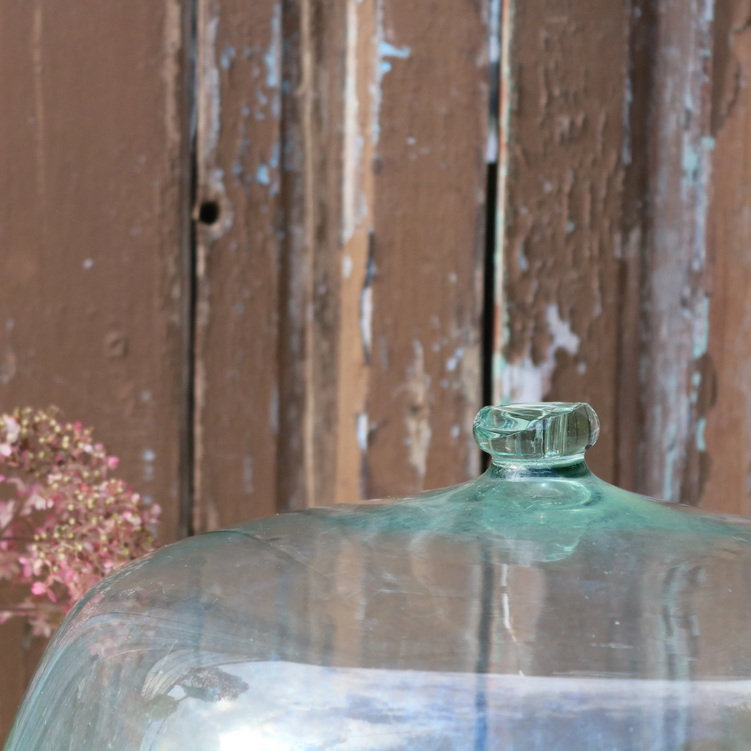 antique-blown-glass-garden-cloche-detail.JPG