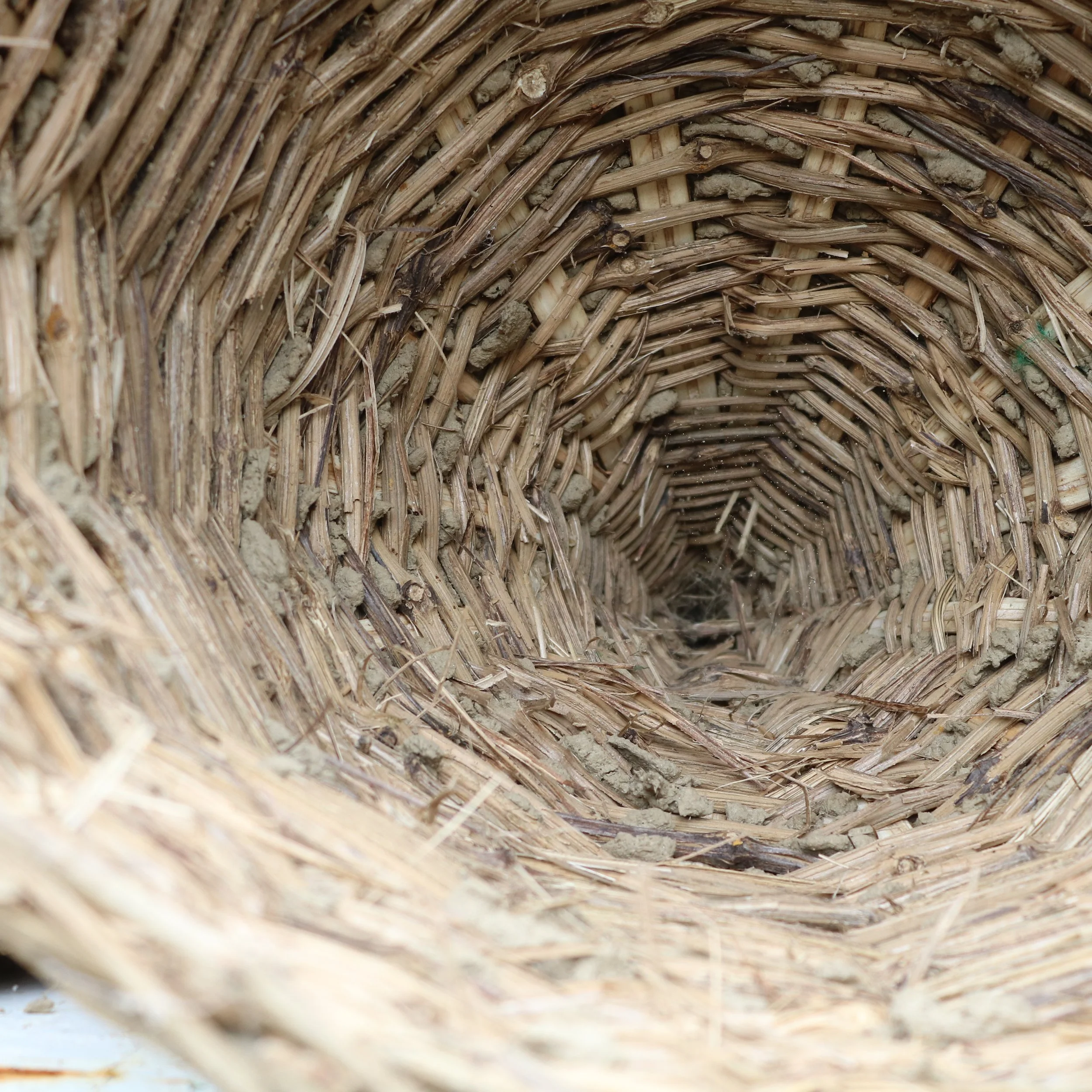 antique-french-beehive-skep-interior-wicker.jpg.JPG