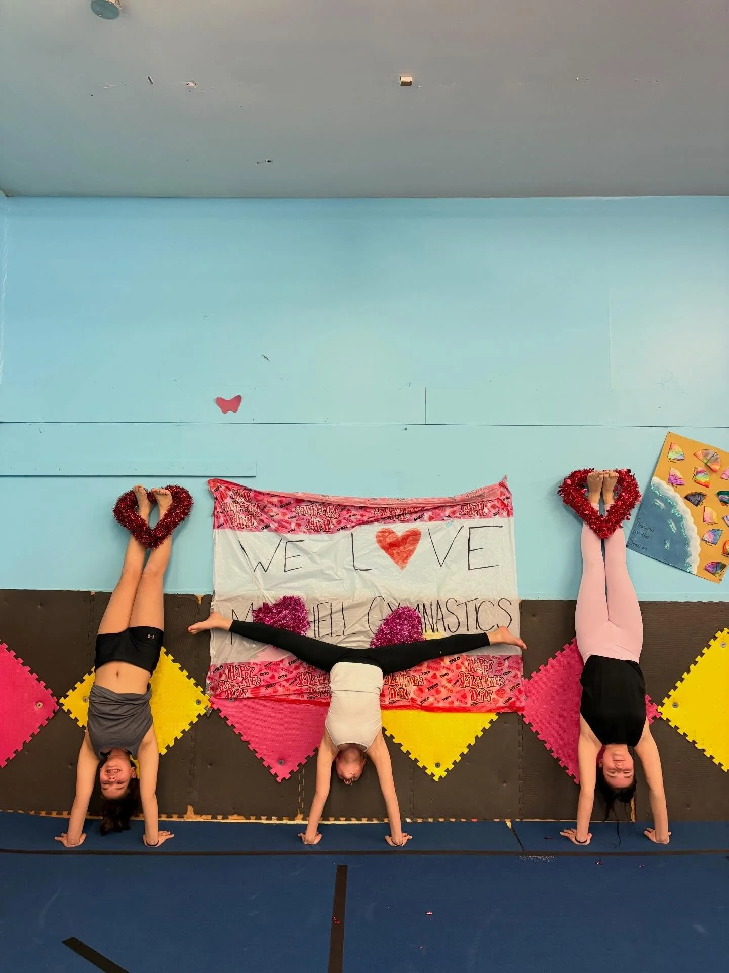 Today&rsquo;s challenge for #ongymweekchallenge is handstands. We love handstands here at Mitchell Gymnastics. 

Handstands are also very important as they are the base of most of our skills. Here are some photos we took tonight for handstand day.

#