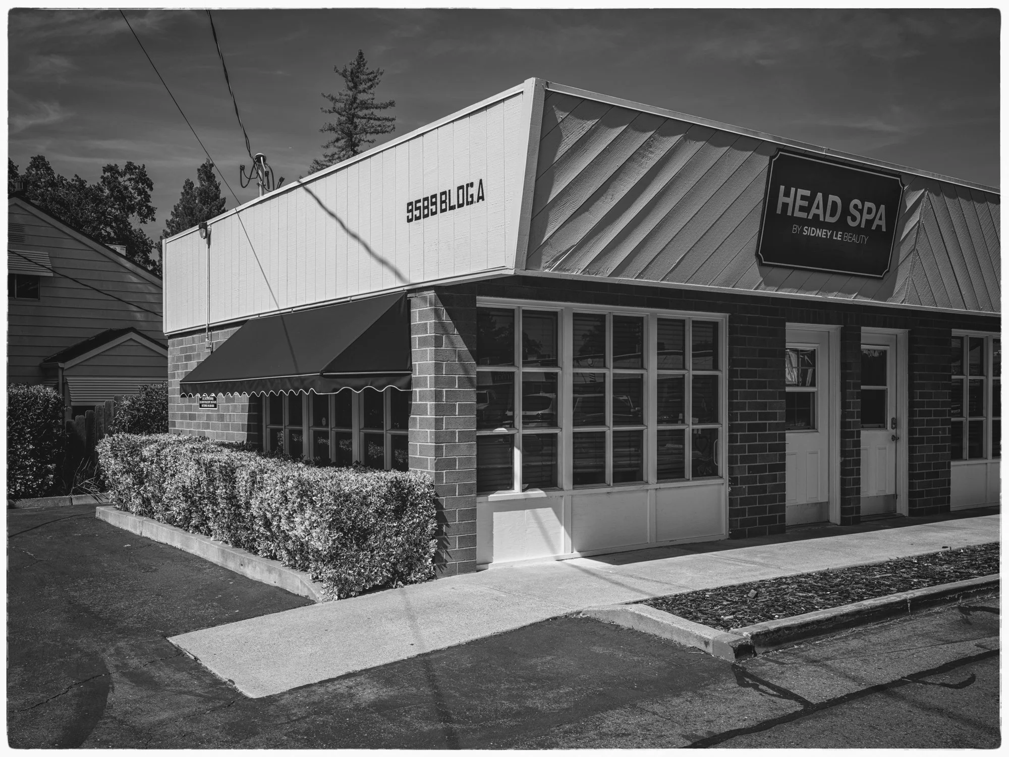 elk_grove-9.jpg