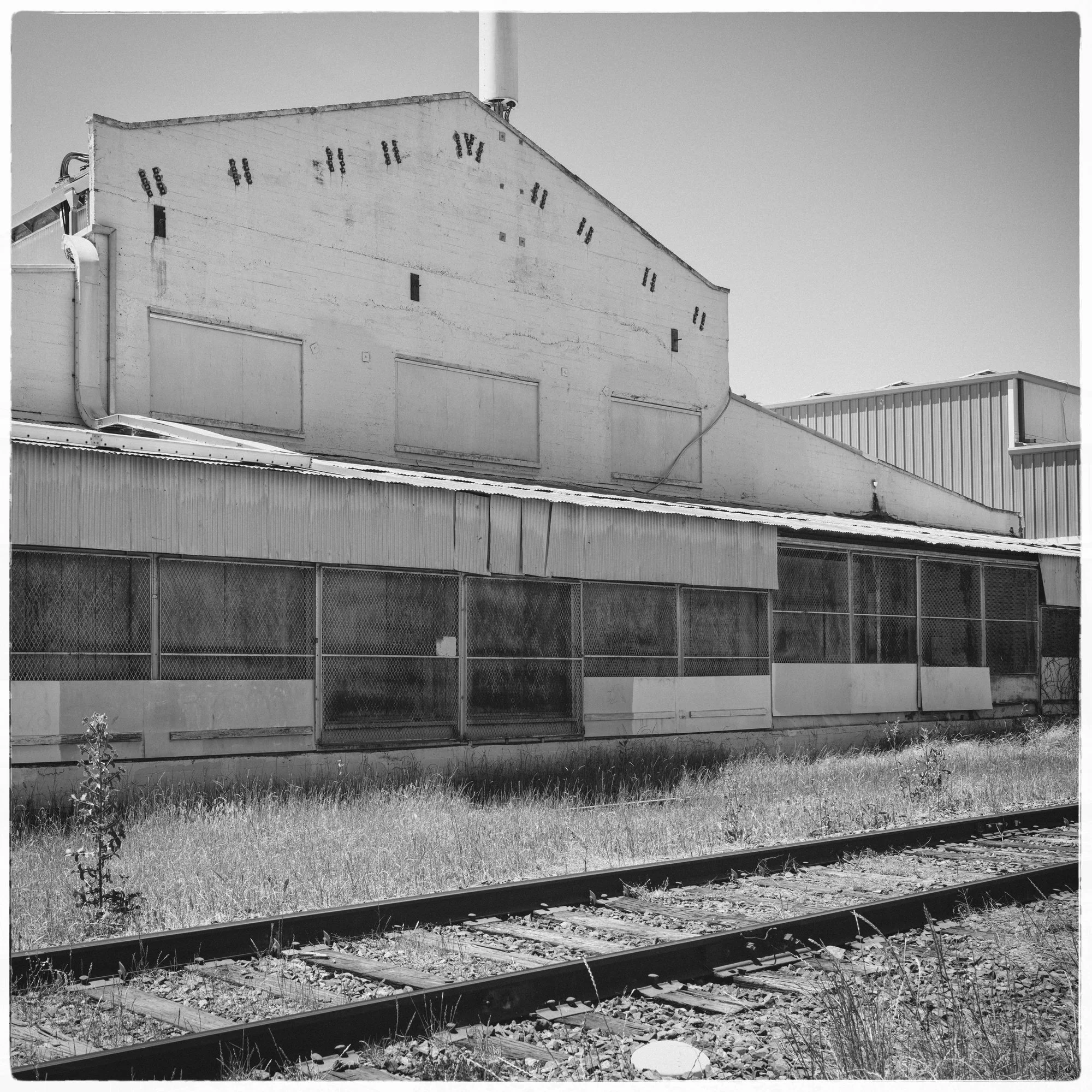 56419273.jpg